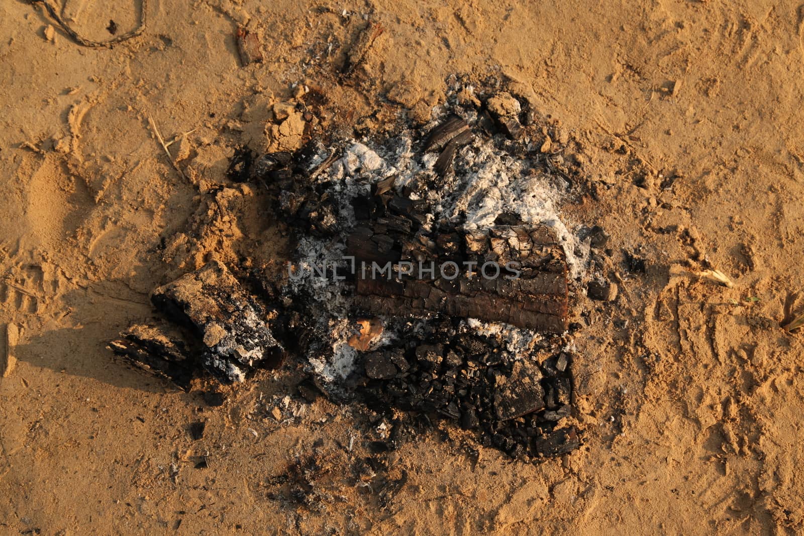 Burning Paper Texture