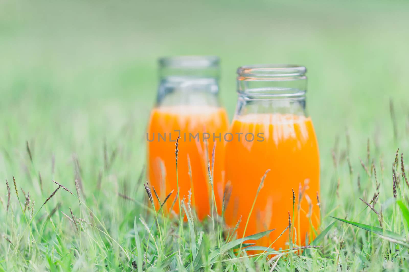 Closeup glass bottle of orange juice fruit on green grass nature background, food healthy concept