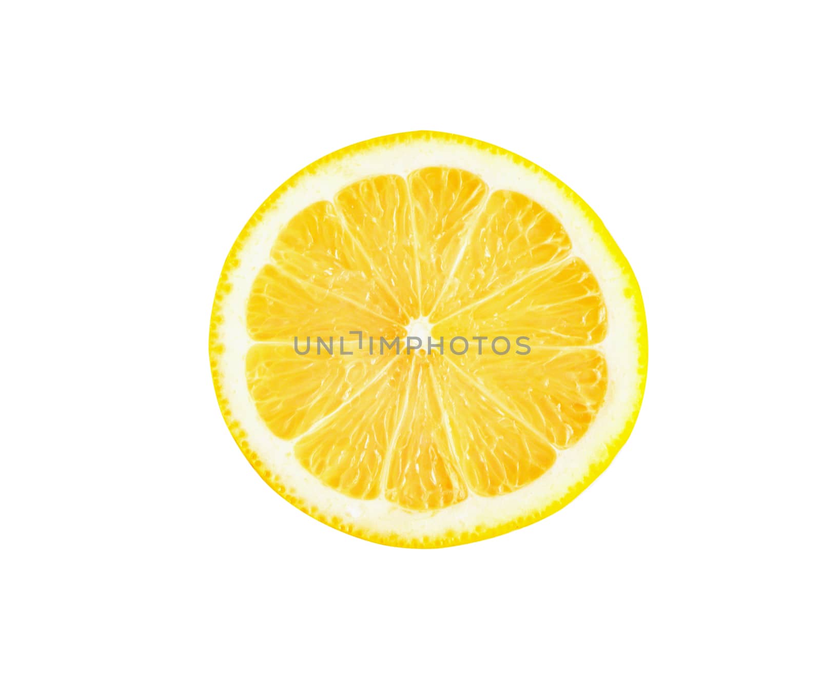 Closeup fresh lemon fruit slice isolated on white background, food and healthy concept