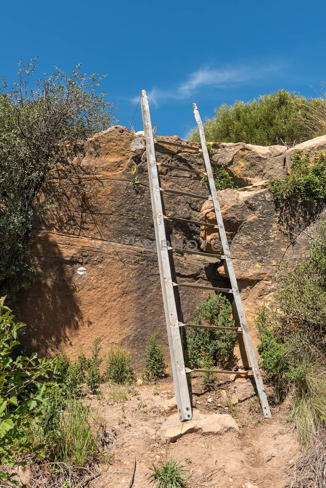 A steel ladder on the Eland Hiking Trail at Eingedi near Ladybrand. An eland spoor trail marker and a skull are visible