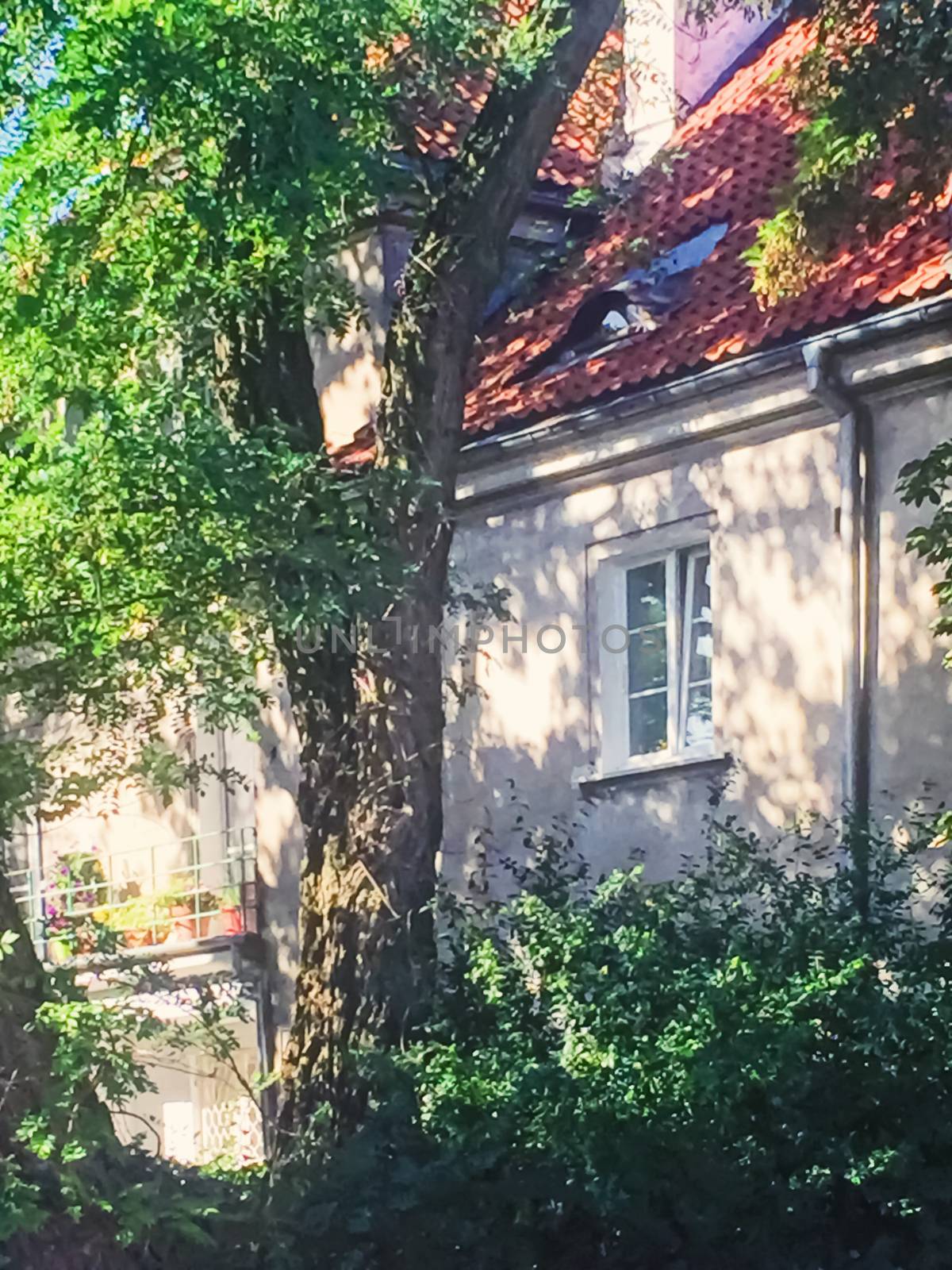 Detail of residential house in historical neighborhood by Anneleven