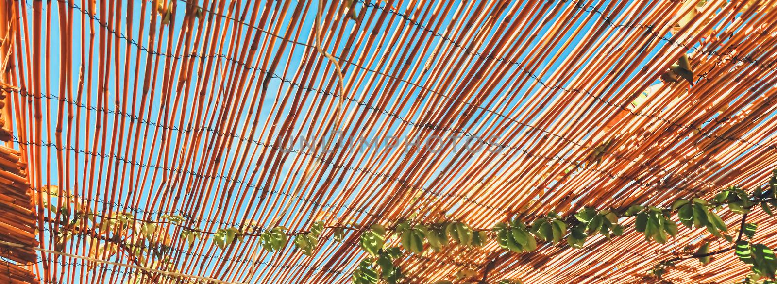 Wooden roof on the beach by Anneleven