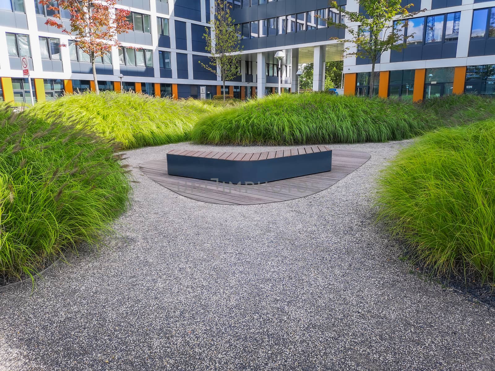 Wooden bench with green bushes around and white corporate buildings