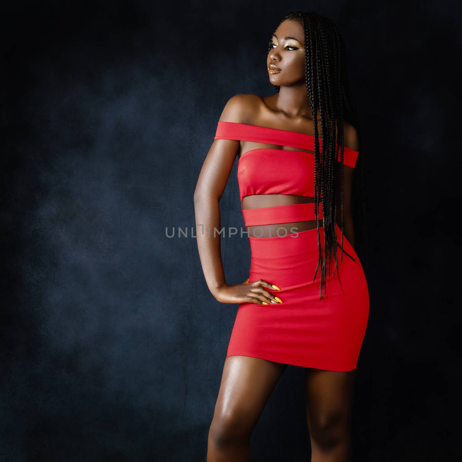 Close up portrait of sensual young african woman in red dress.Studio shot of girl  with long braided hair against fringe background.