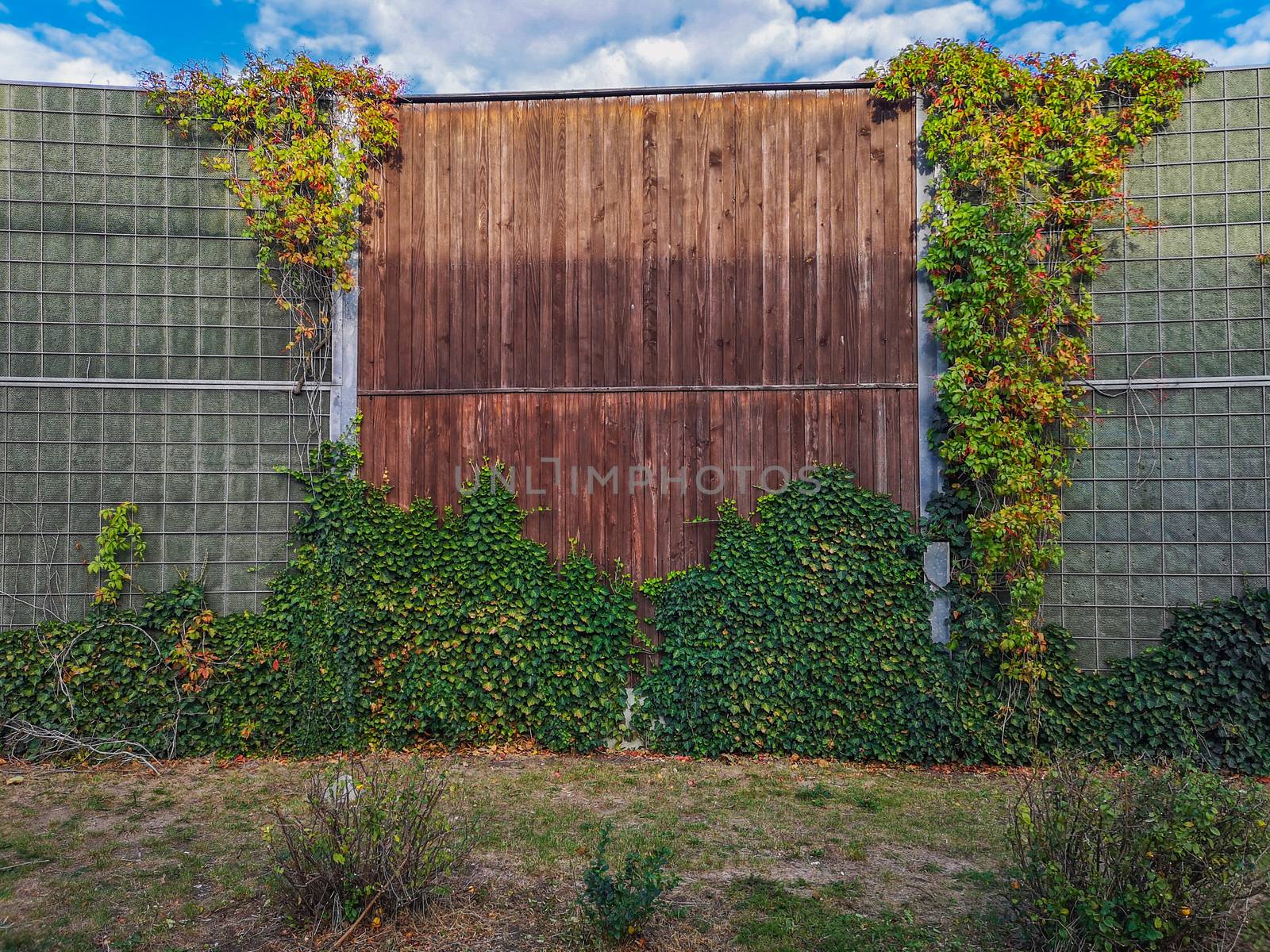 Wooden wall on side of highway with ivy and flowers around