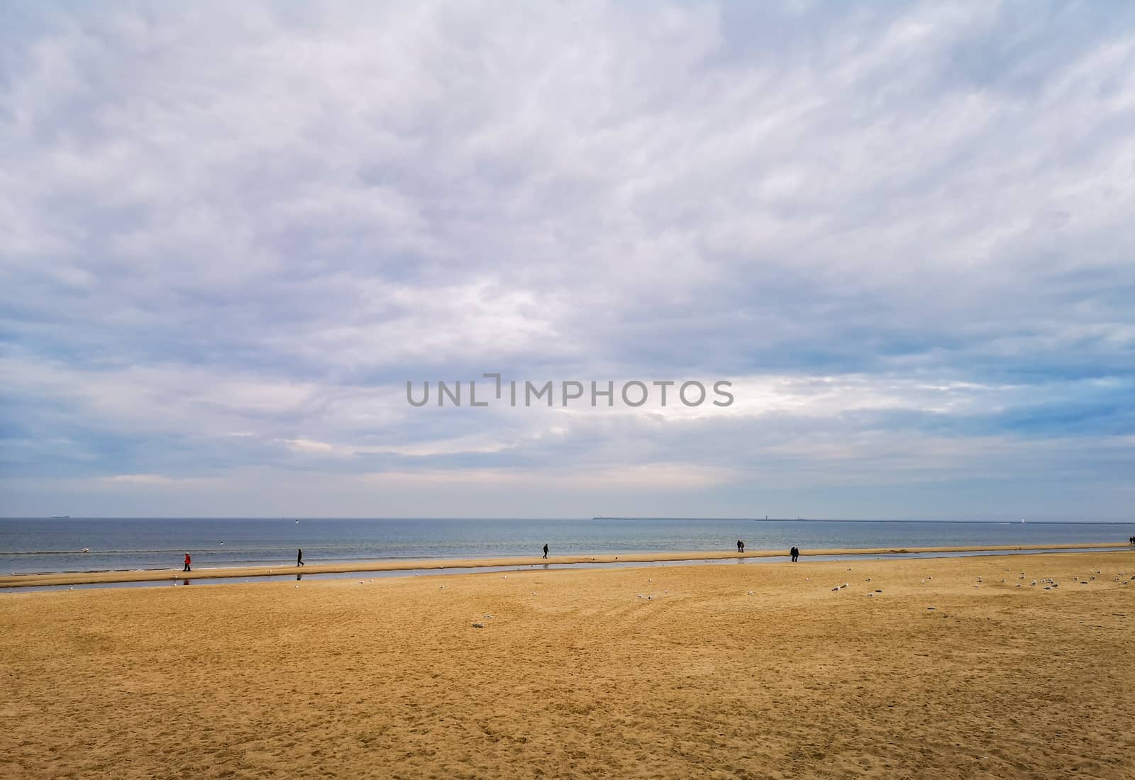 Beach near baltic sea in Swinoujscie in november by Wierzchu