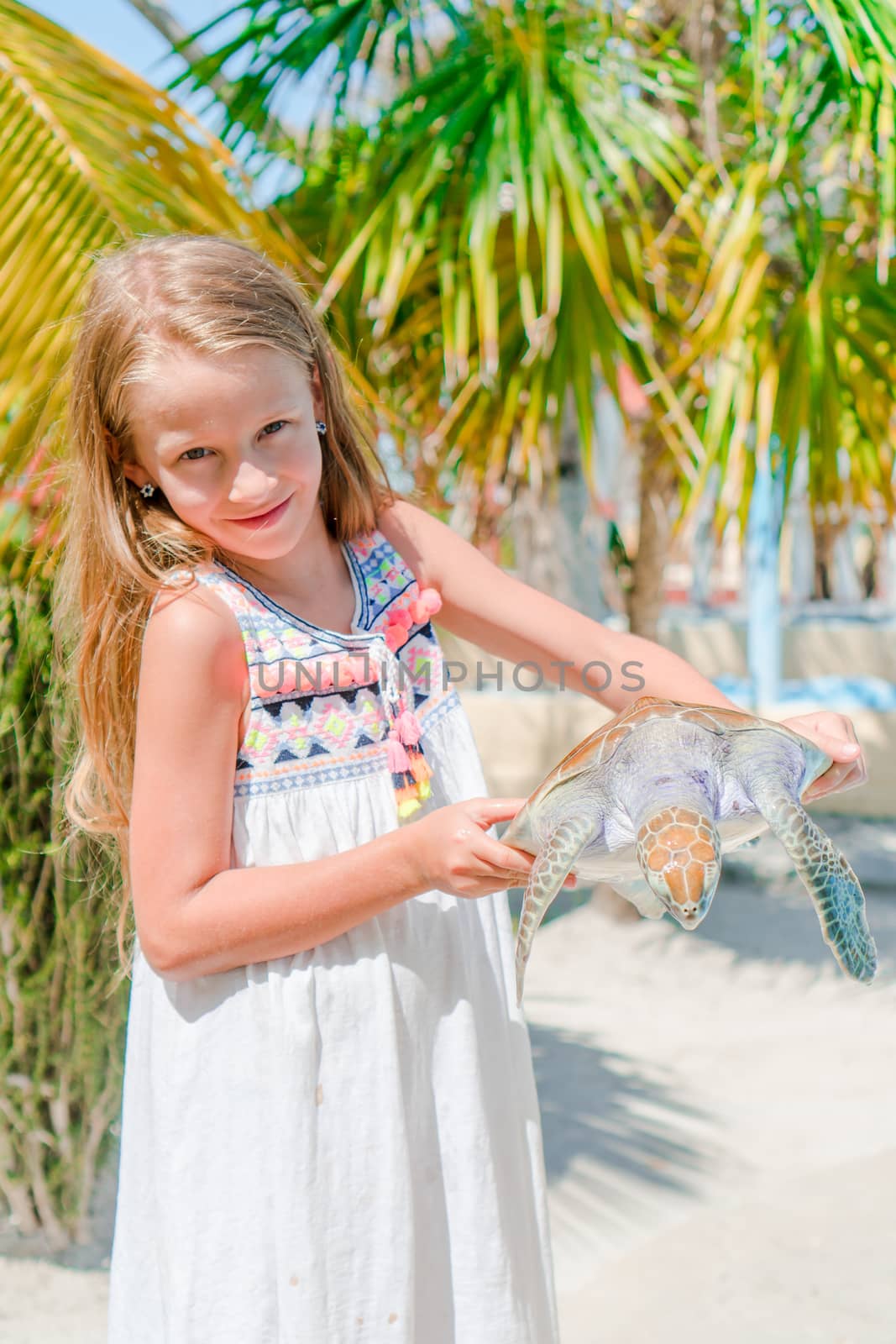 Little adorable girl with a small turtle in her hands in the reserve by travnikovstudio