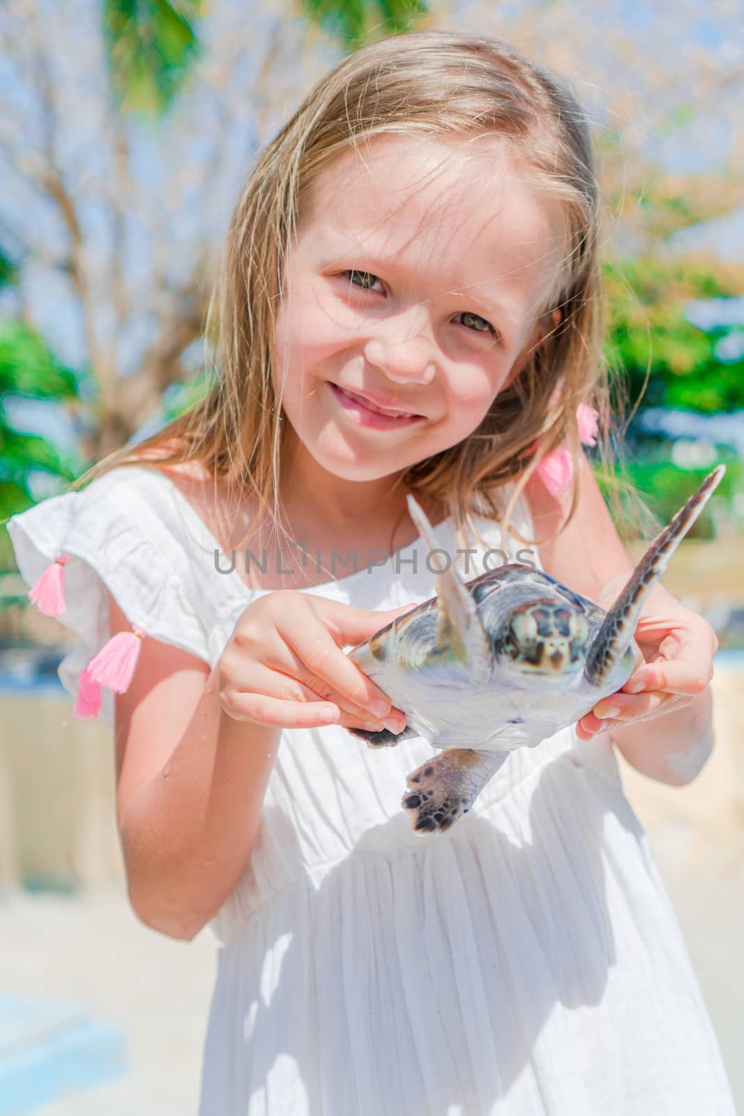 A little cute girl with a small turtle in her hands in the reserve by travnikovstudio
