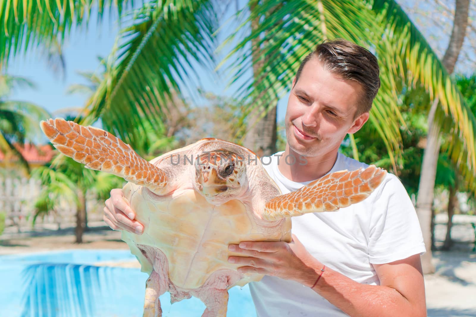 Tourist man with sea turtle in the hands in exotic reserve by travnikovstudio