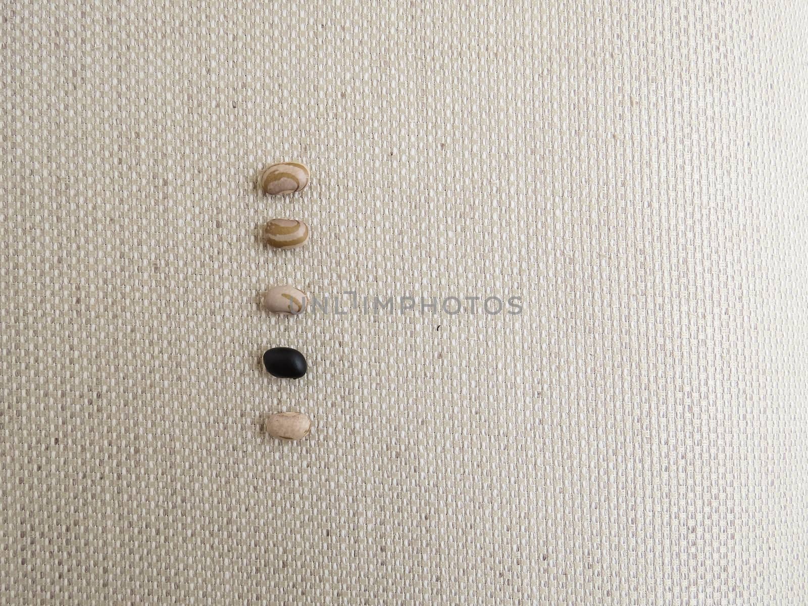 Line with five beans, carioca and black beans, seen from above on the light colored textured fabric.