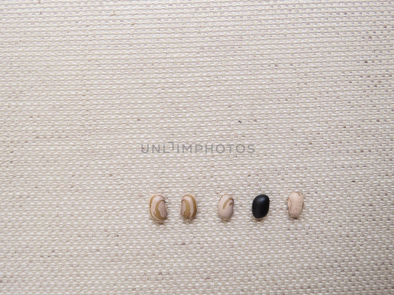 Line with five beans, carioca and black beans, seen from above on the light colored textured fabric.