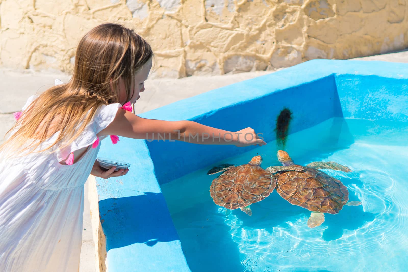 Adorable little girl feeds turtles in the natural reserve by travnikovstudio