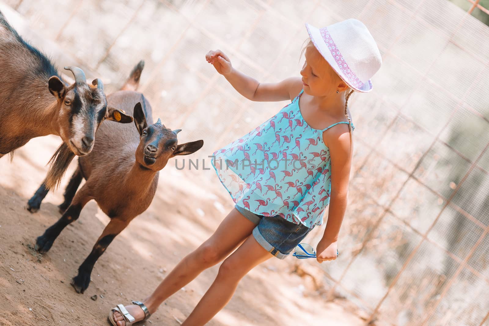Little girl in the zoo with a small cute goat by travnikovstudio