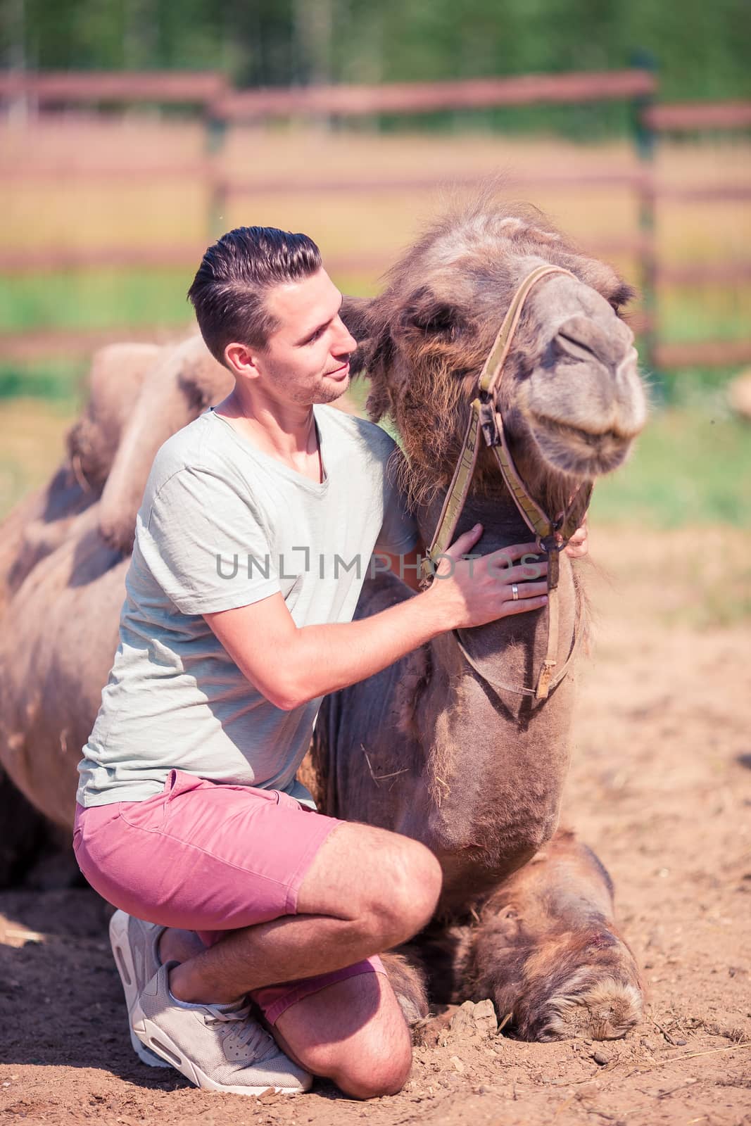 Man with camel in the zoo on warm and sunny summer day. Active family leisure. by travnikovstudio