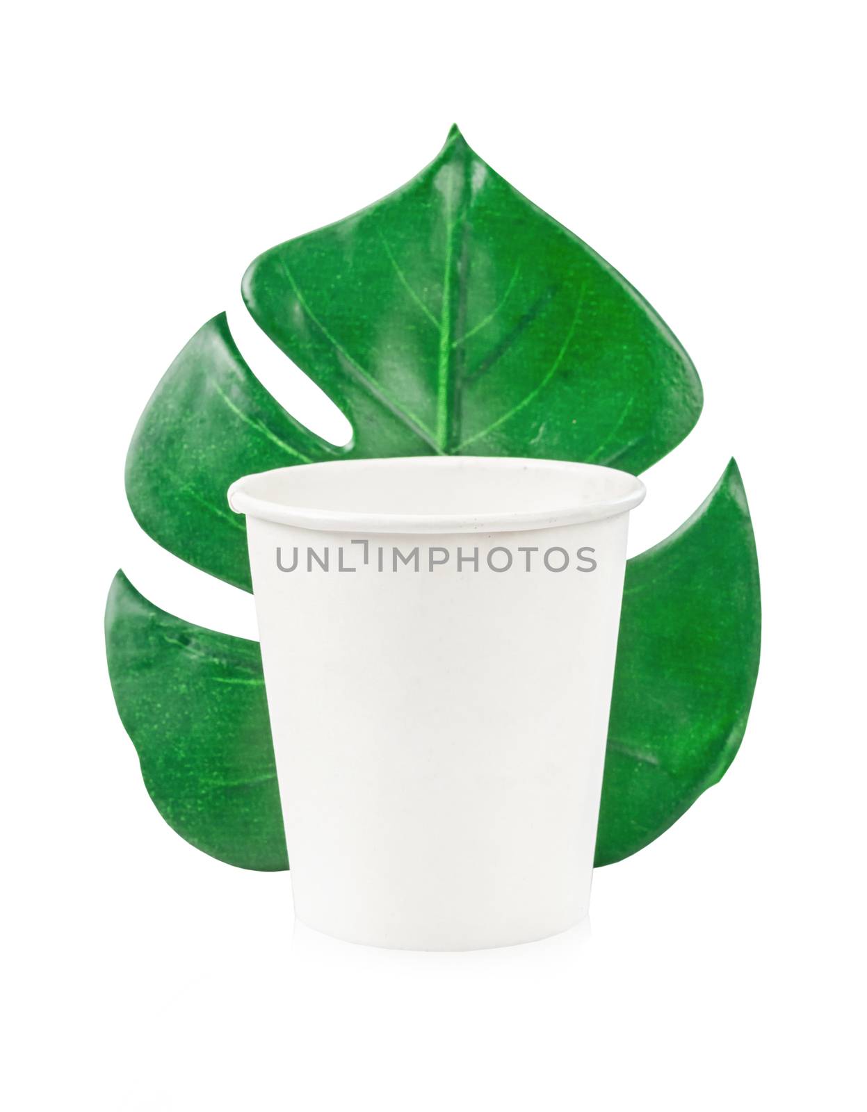 Eco friendly craft paper cup monstera leaf isolated on white background, Save clipping path. Recycling concept. Zero waste theme