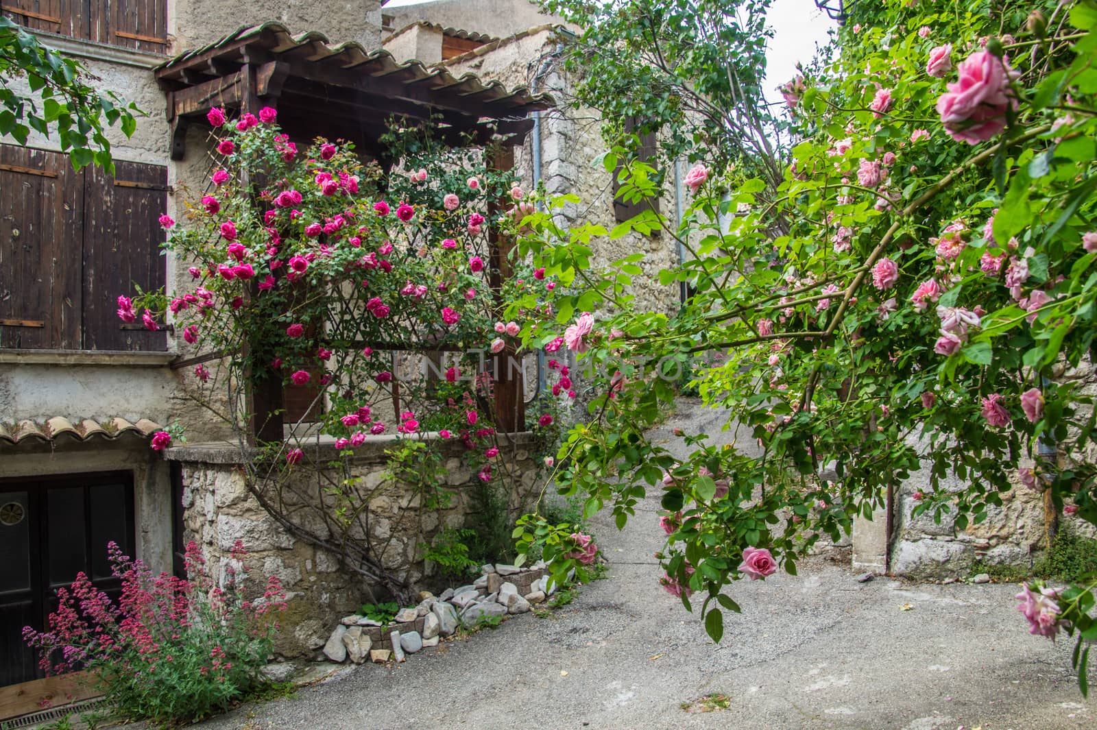 regional park the provencal baronies