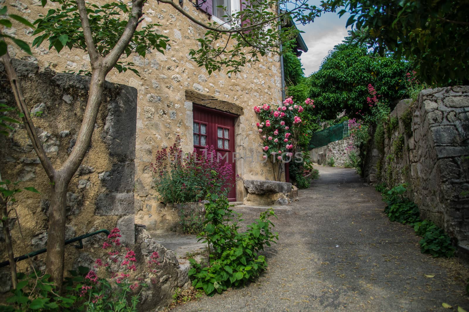 regional park the provencal baronies