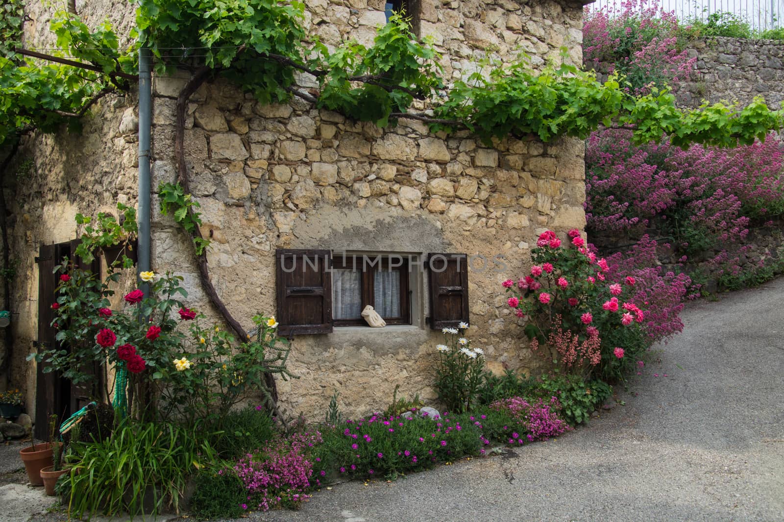 regional park the provencal baronies