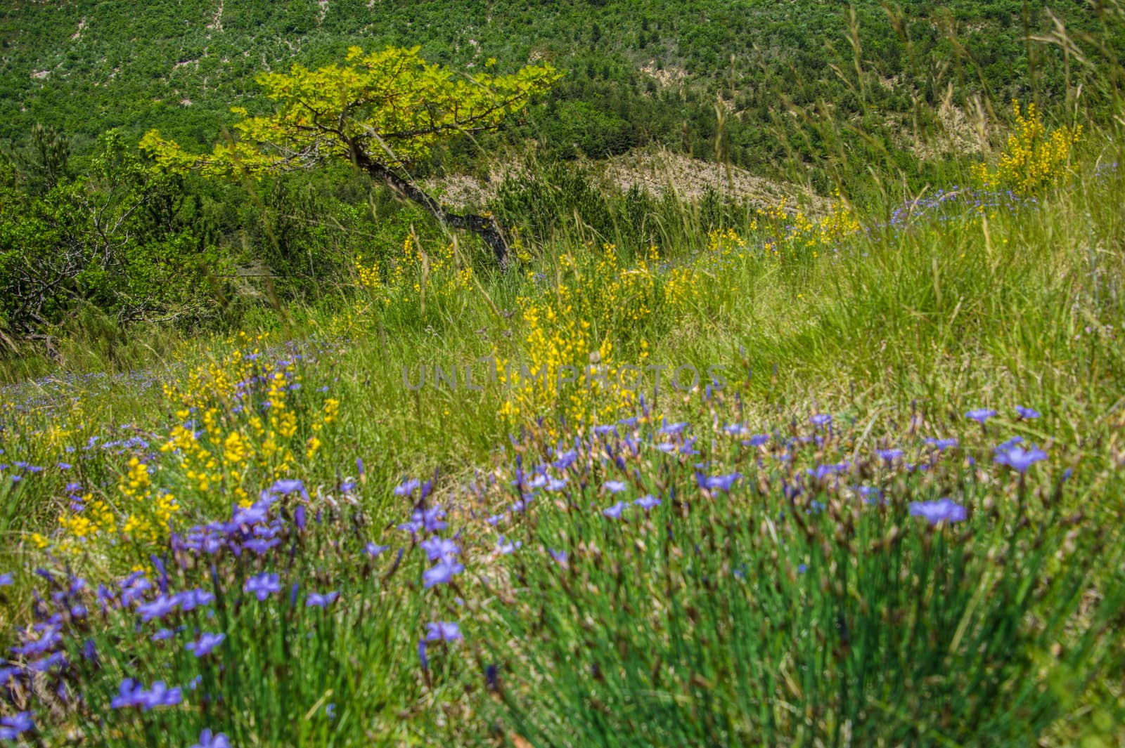 regional park the provencal baronies