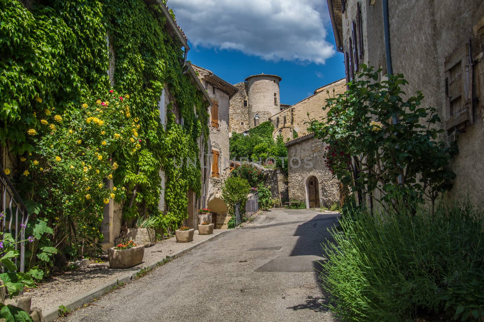 regional park the provencal baronies