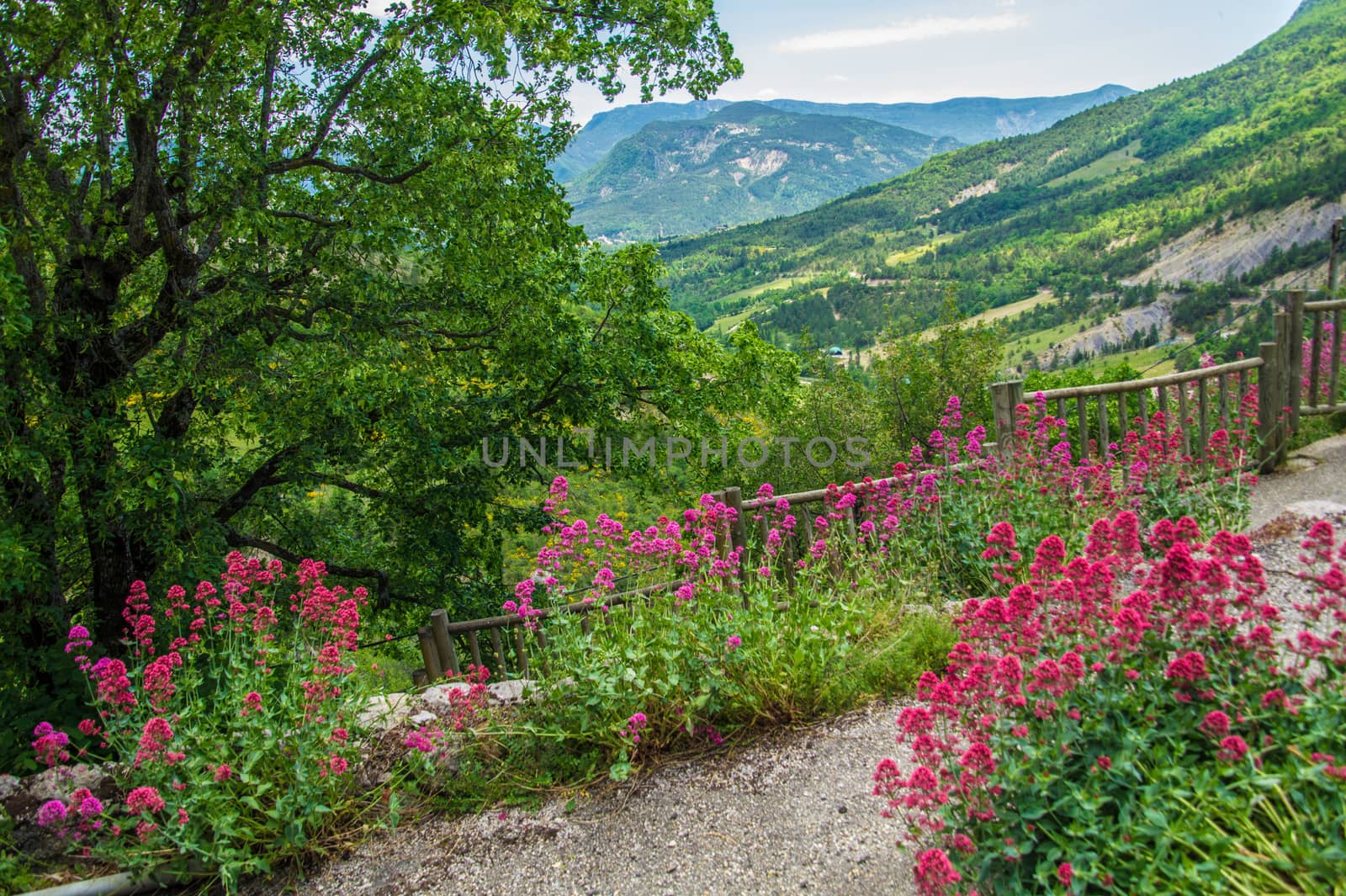 regional park the provencal baronies