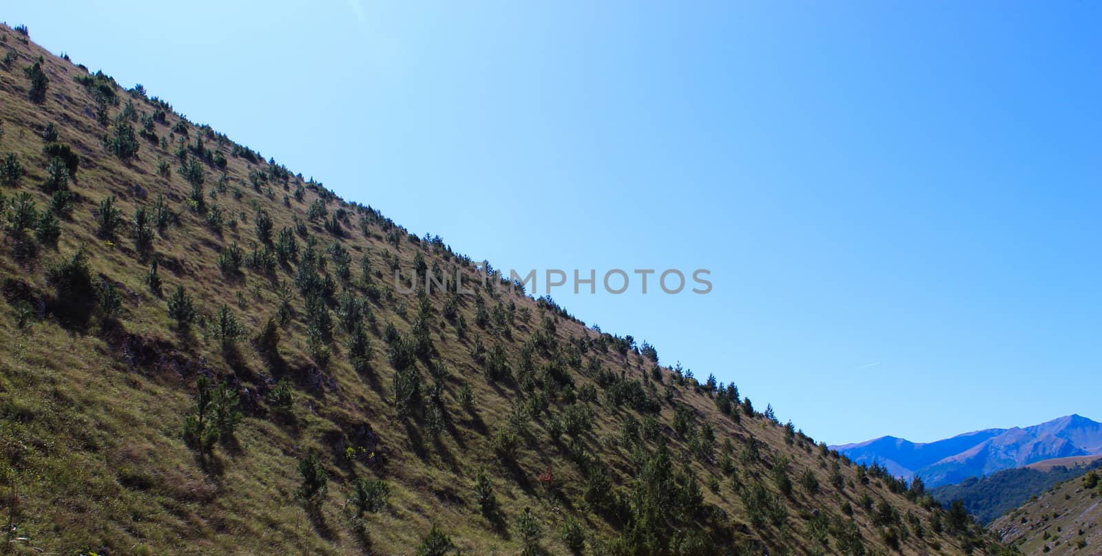 The hill is forested with coniferous trees, and in the long distance there are mountains. On the way to the mountain Bjelasnica, Bosnia and Herzegovina.