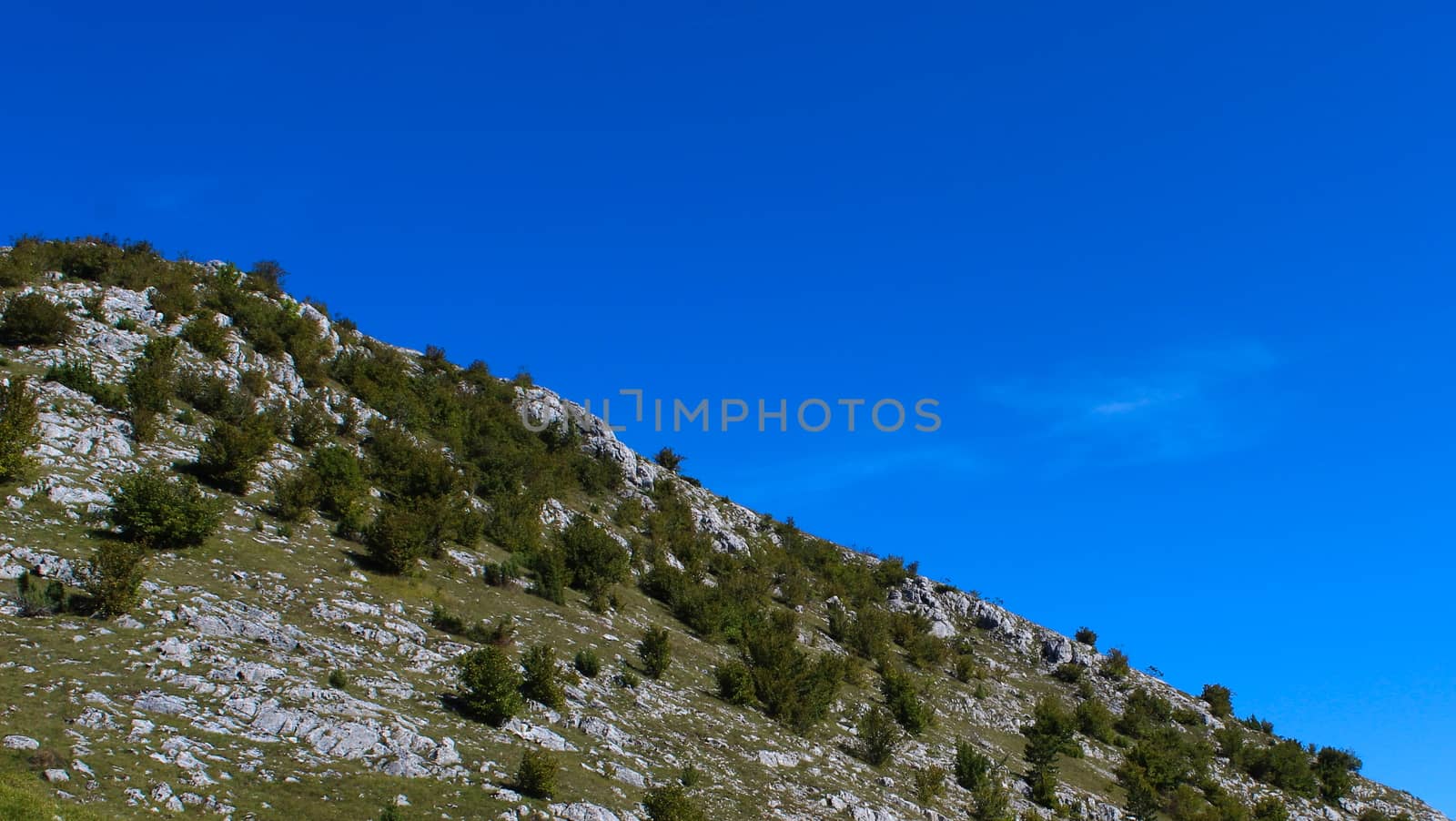 The concept of a mountain desert. Shrubs on a hill with stones. On the way to the mountain Bjelasnica. by mahirrov