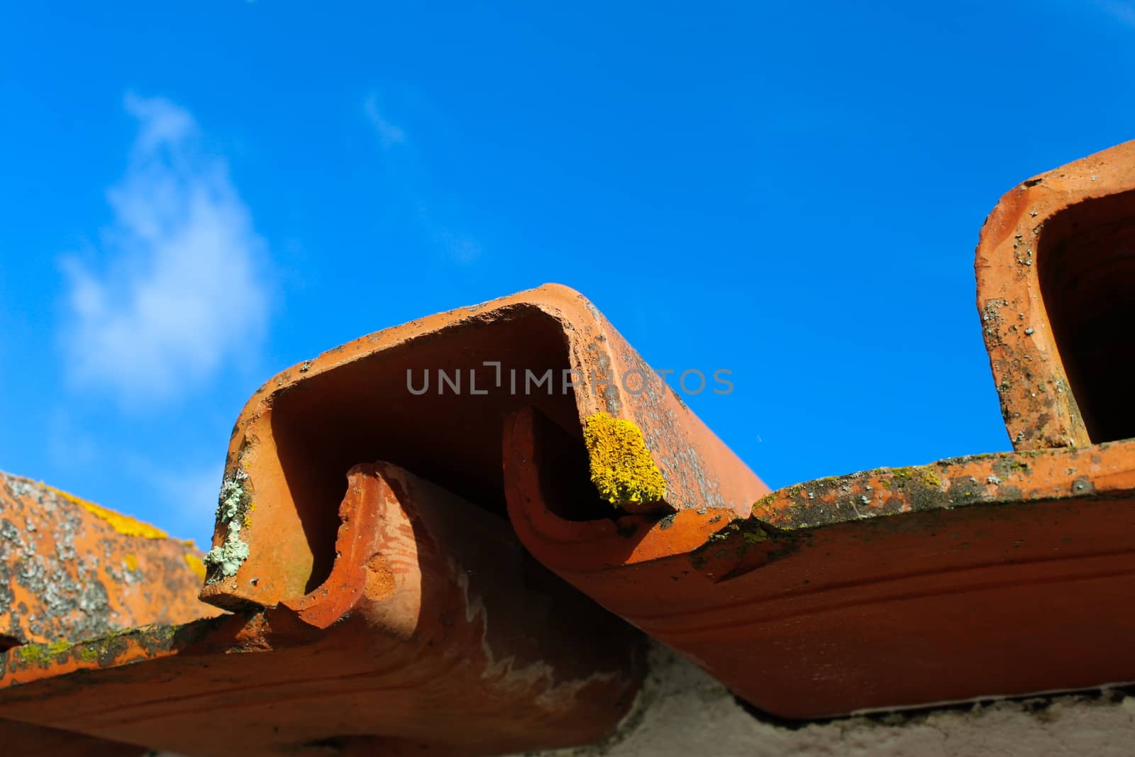 Different lichens on the sunlit roof tile with sky background. Beja, Portugal