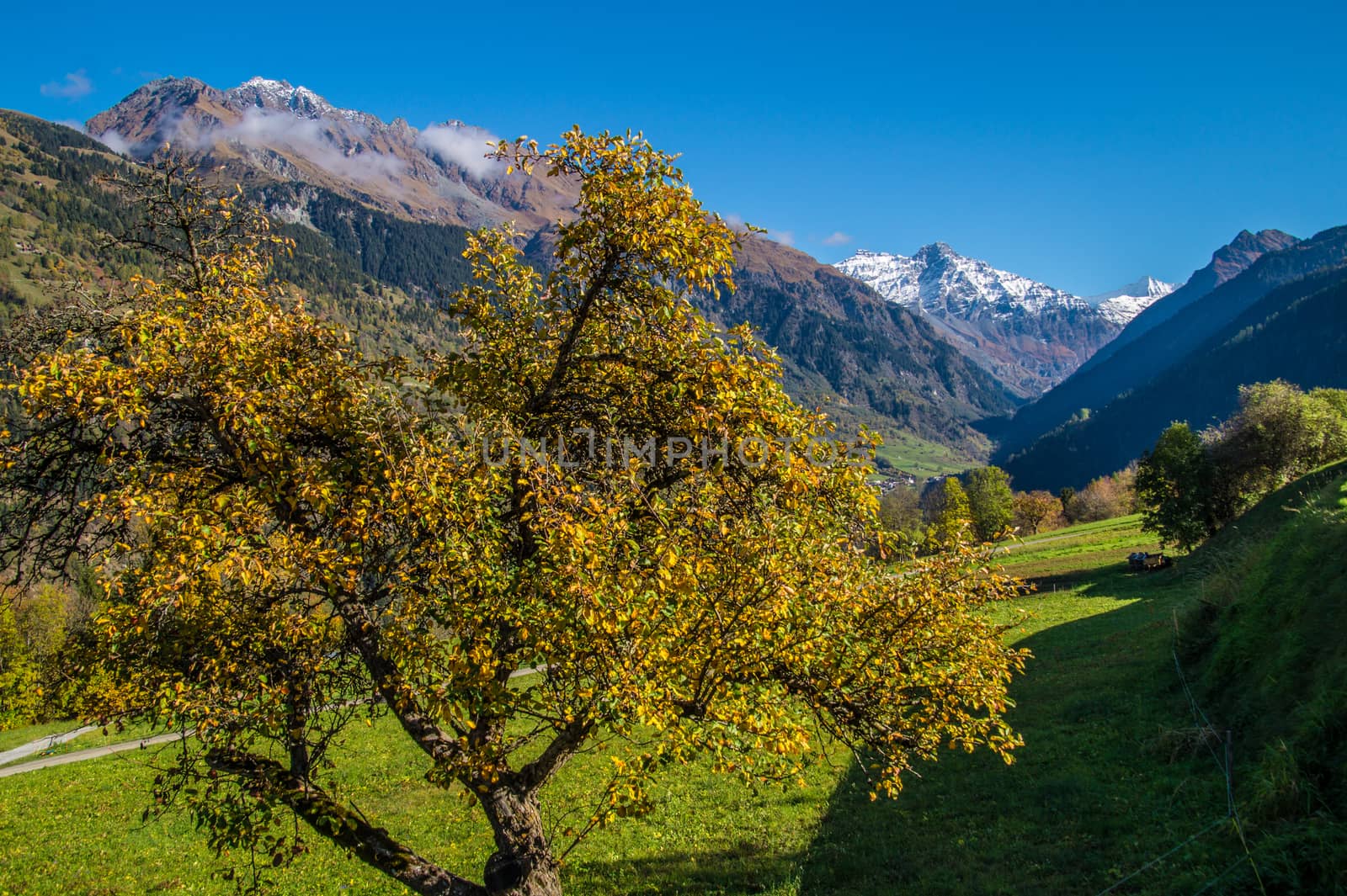 brusson in valais in swiss