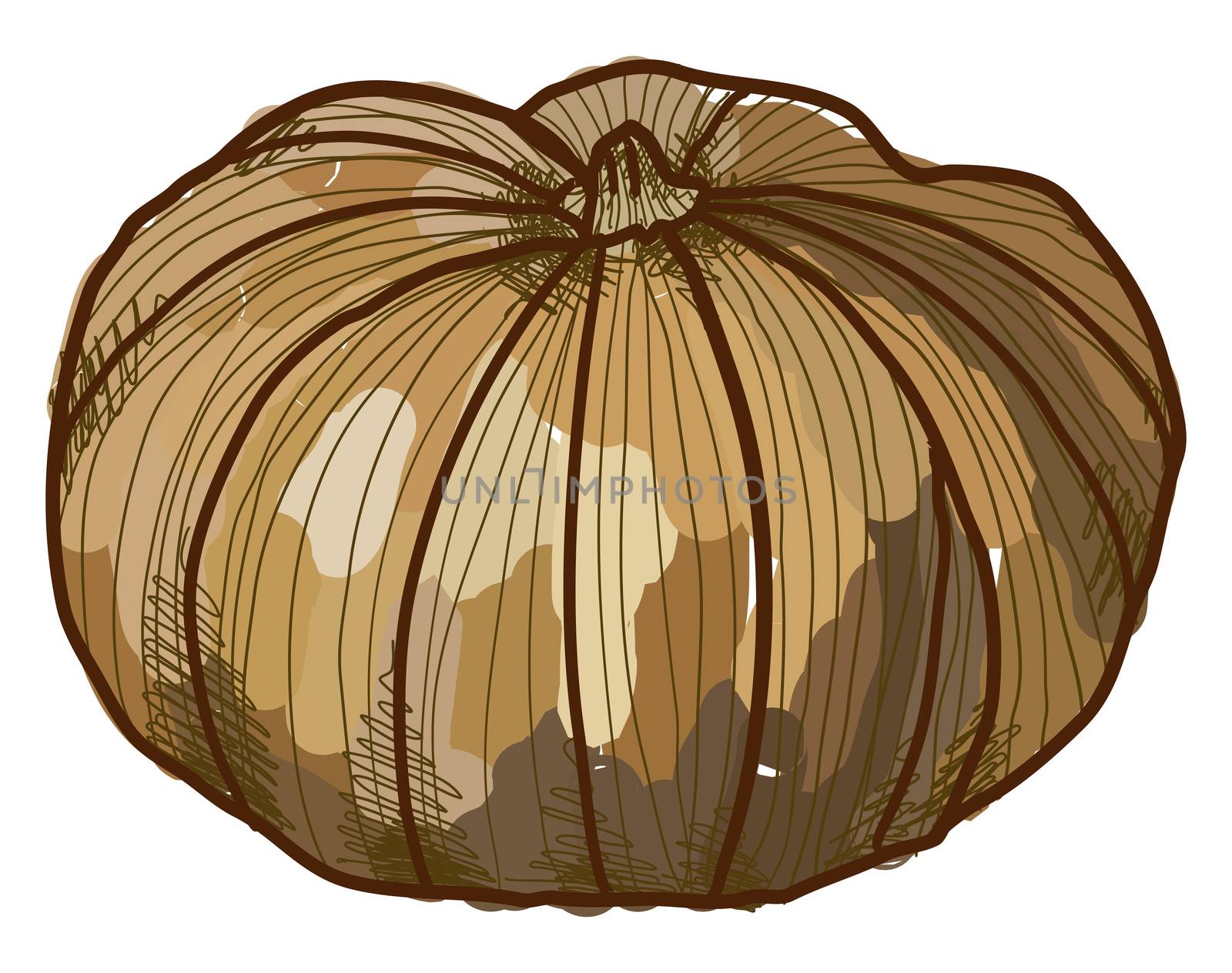 Cheese pumpkin, illustration, vector on white background by Morphart