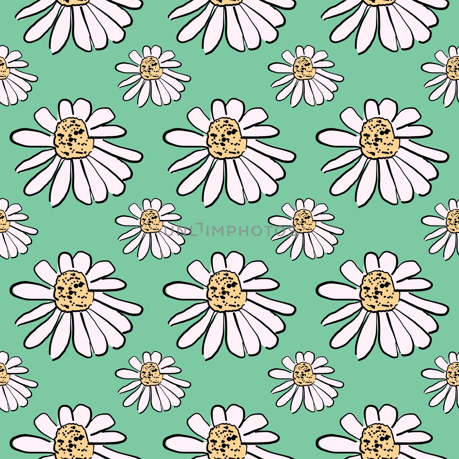 Daisies pattern , illustration, vector on white background by Morphart