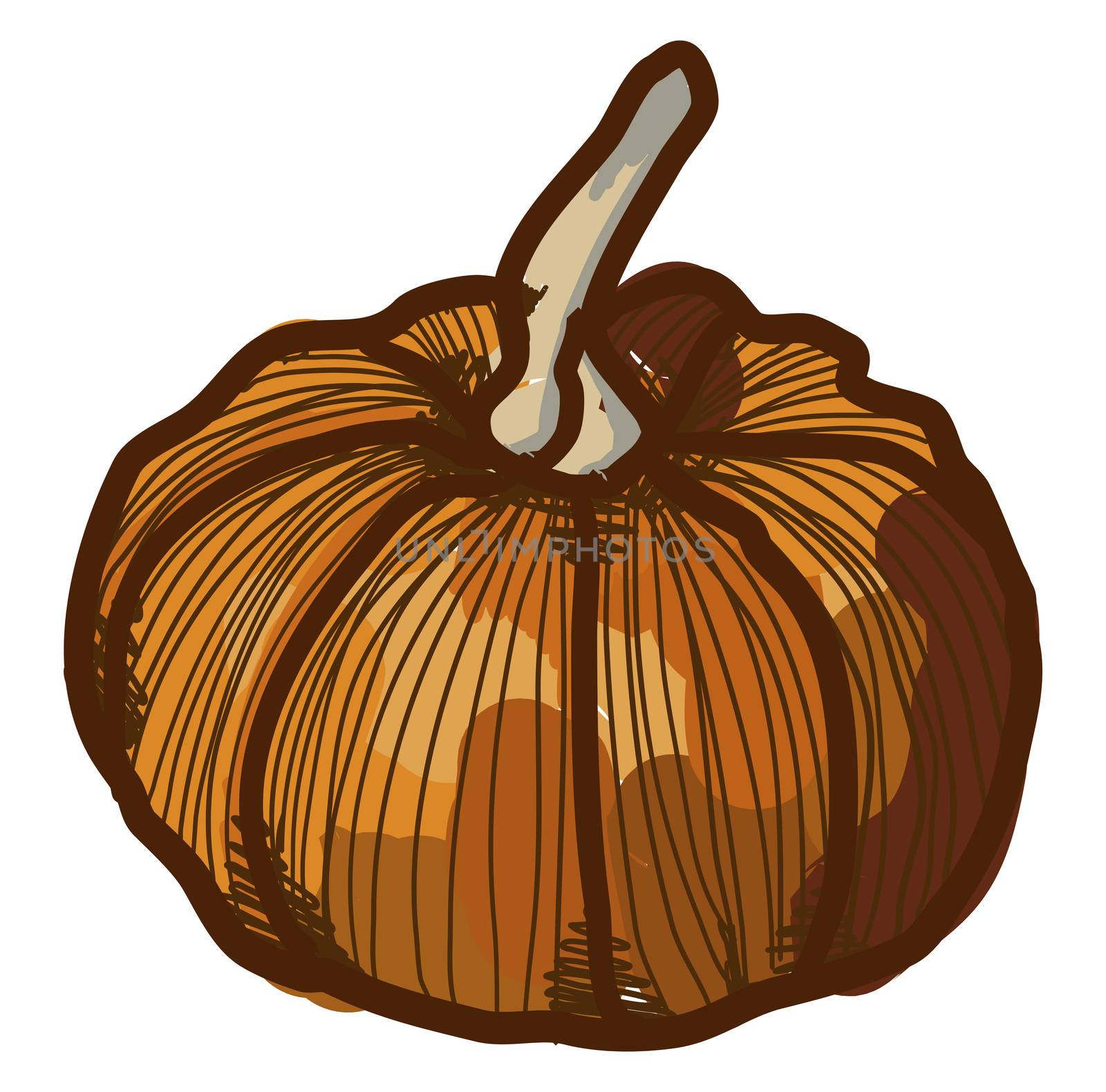 Mini pumpkin, illustration, vector on white background
