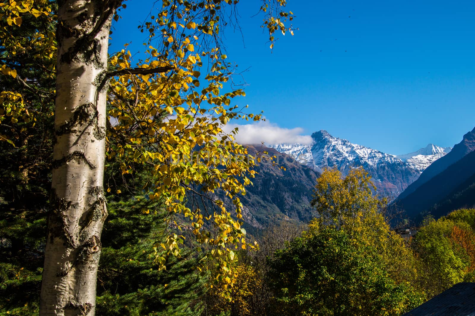 brusson in valais in swiss