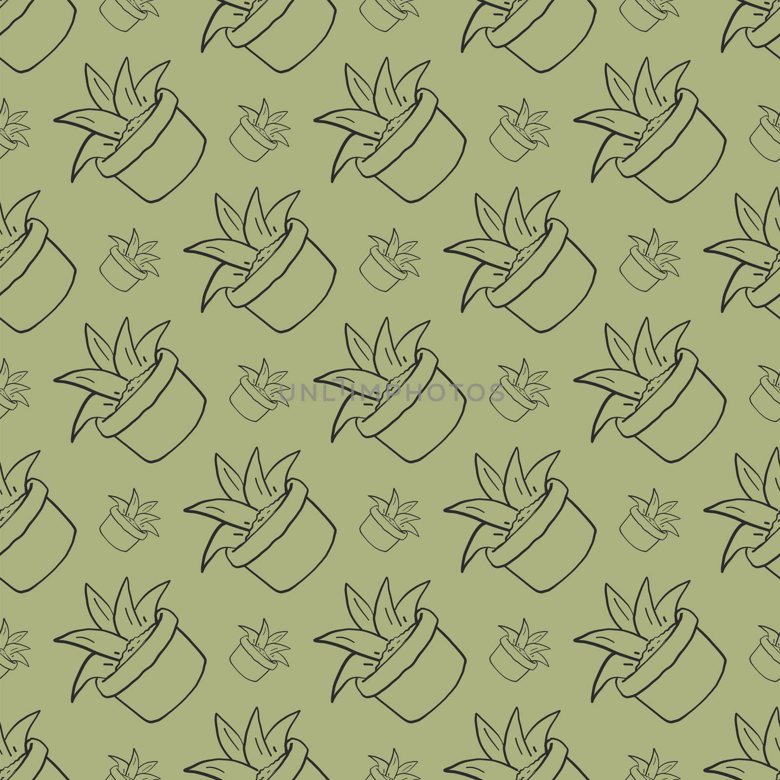 Aloe pattern , illustration, vector on white background by Morphart