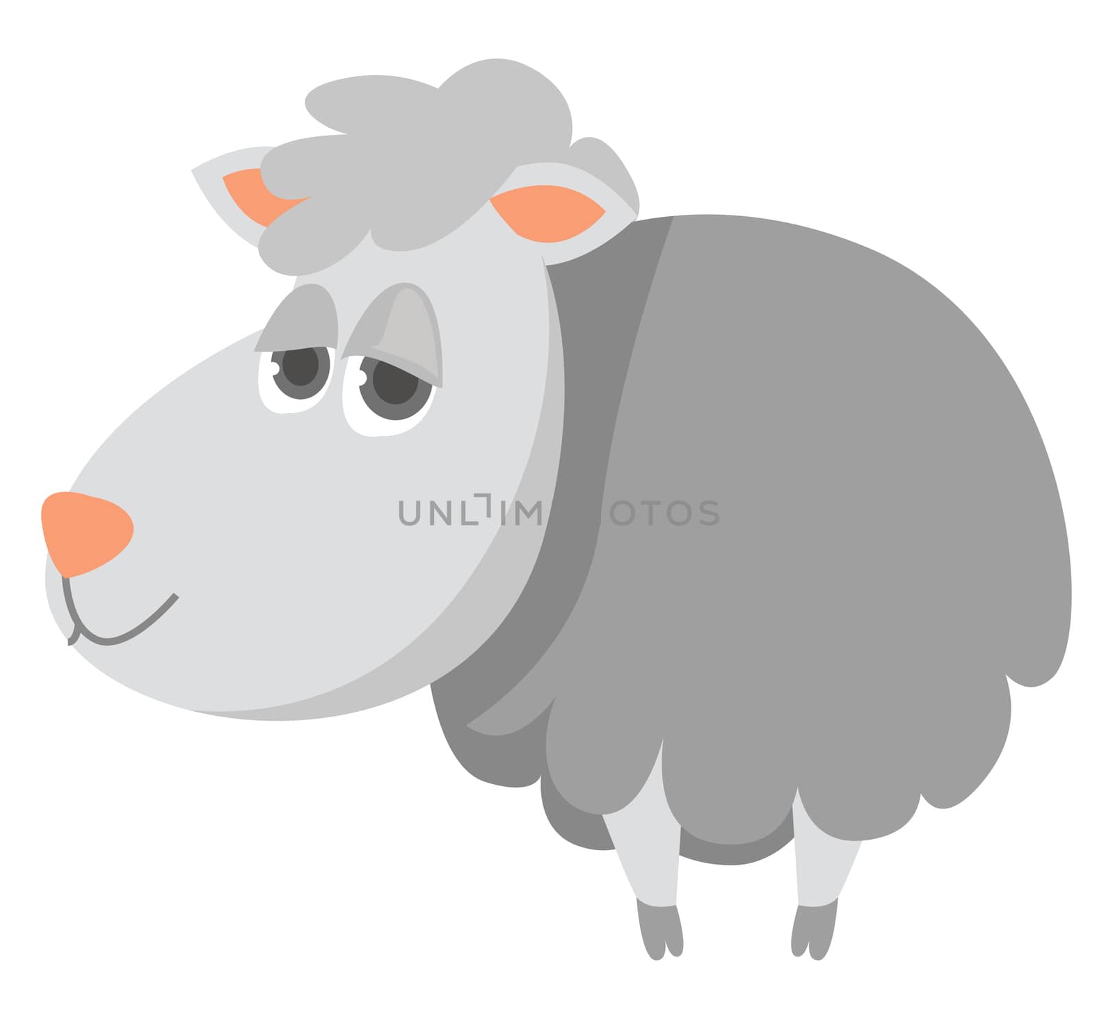 White sheep , illustration, vector on white background by Morphart