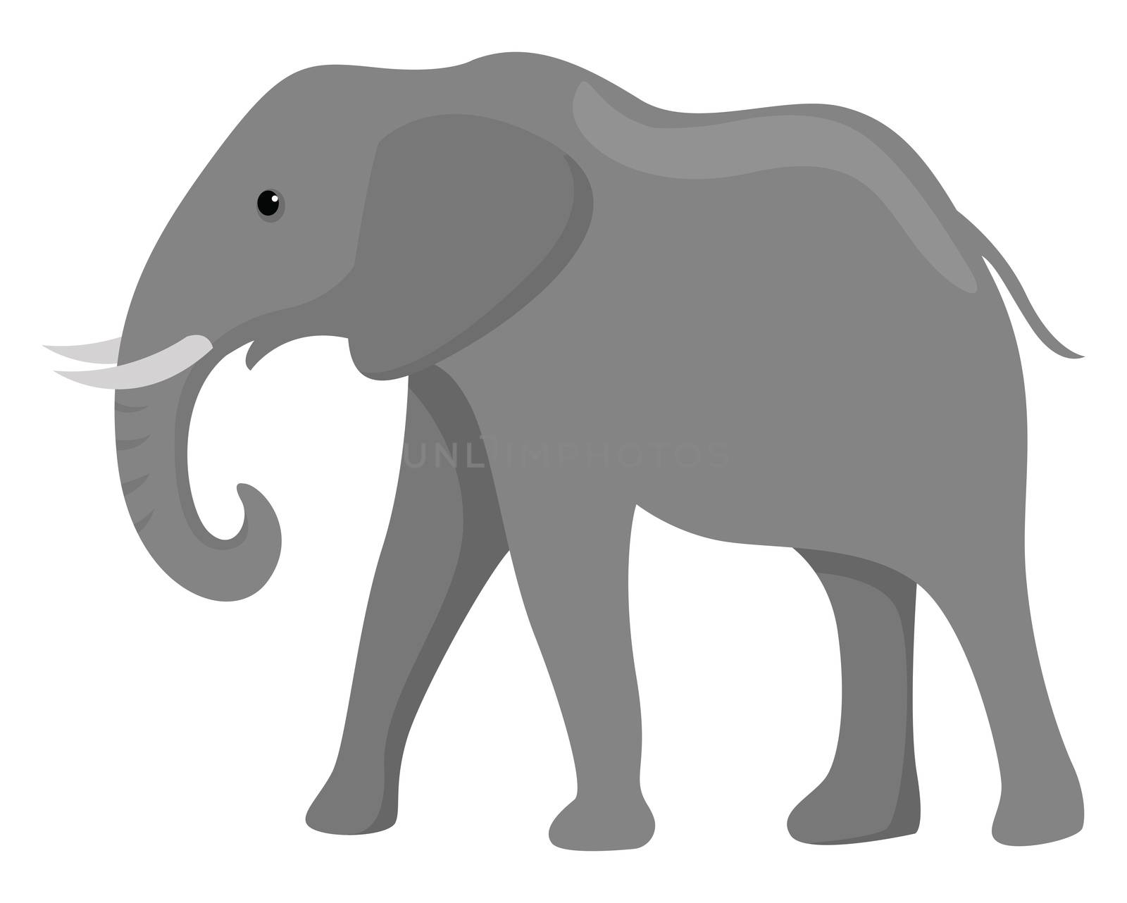 Big elephant , illustration, vector on white background