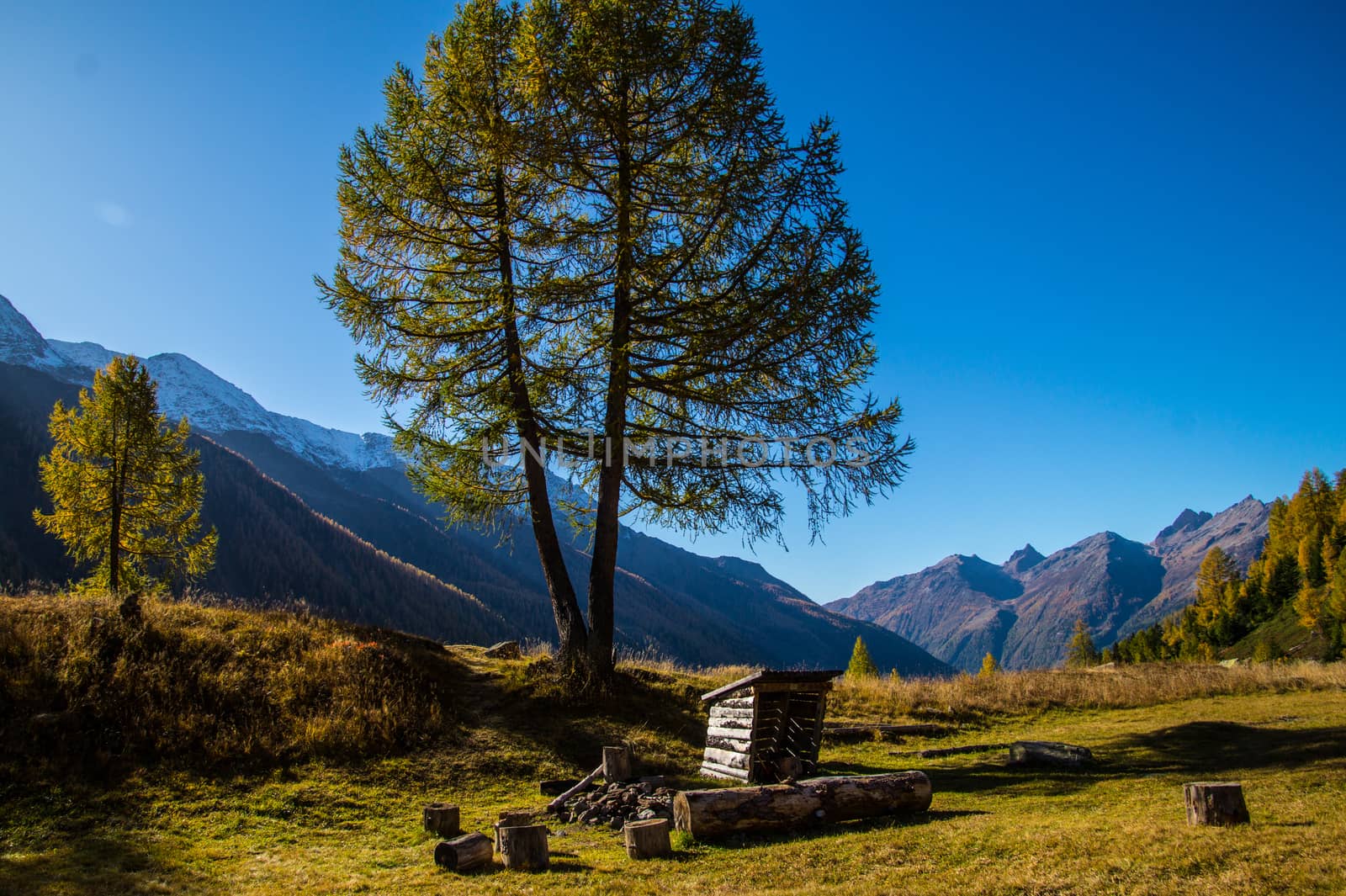 landscape of the Swiss Alps in autumn by bertrand