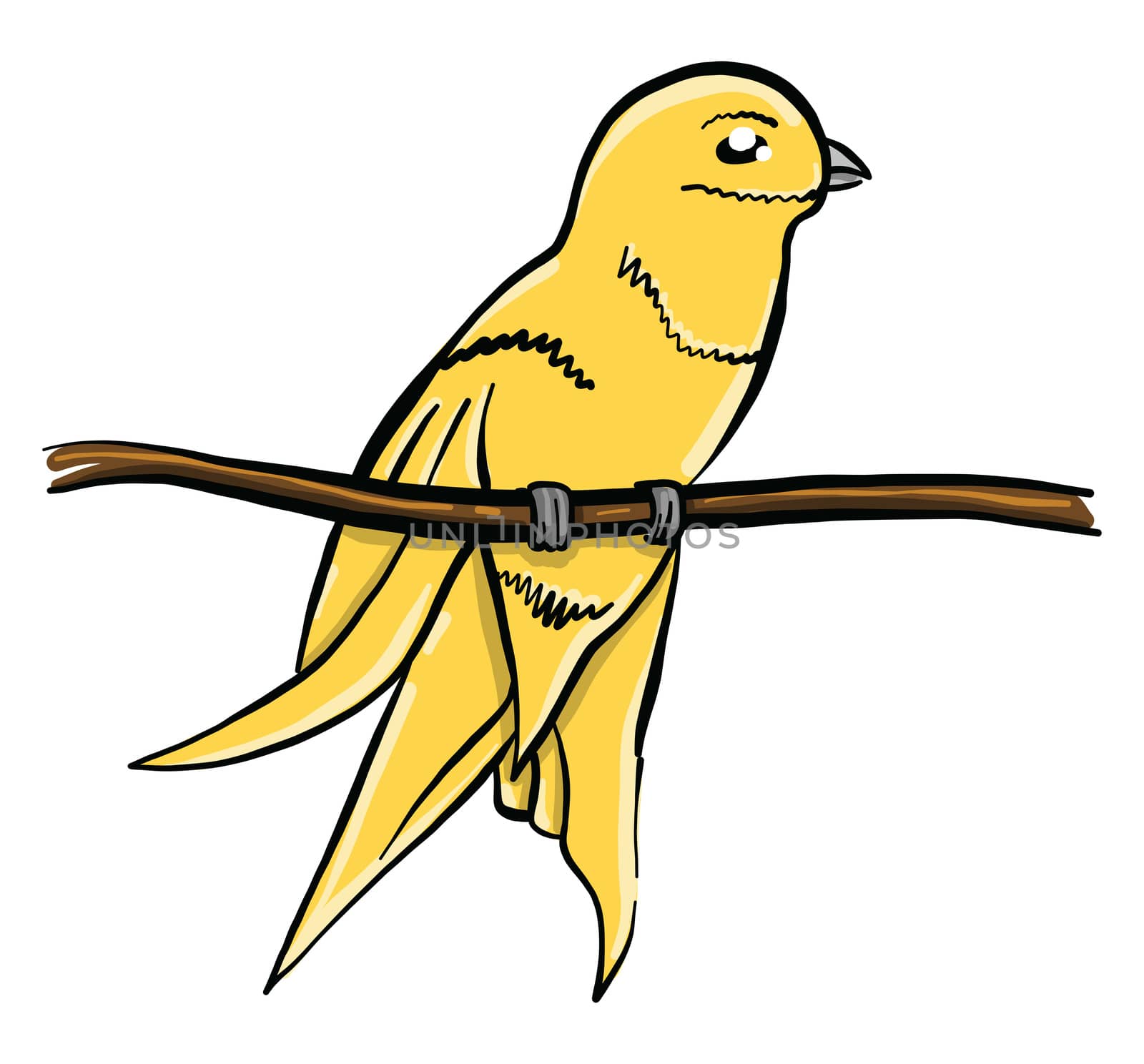 Yelow bird on branch , illustration, vector on white background