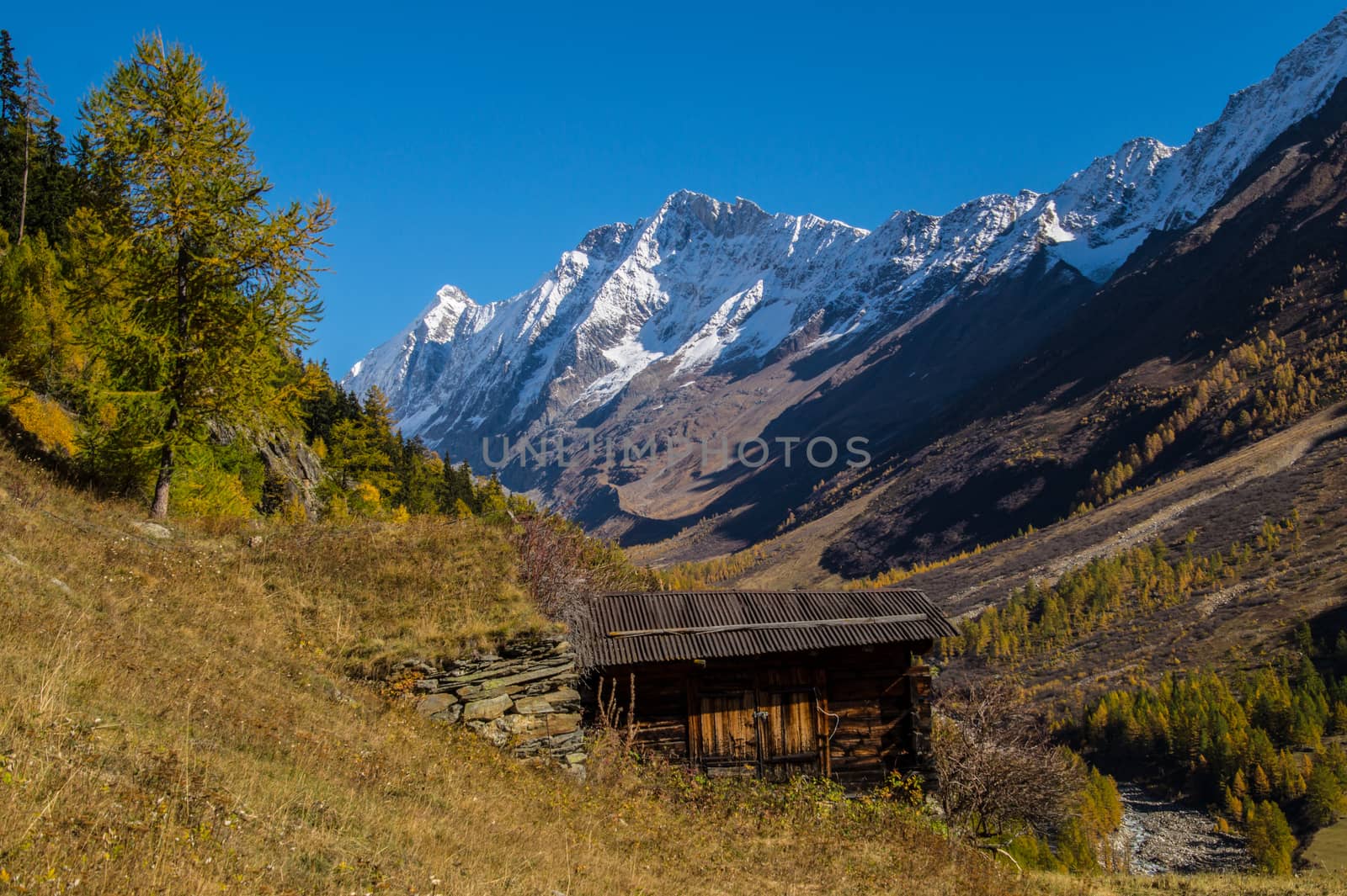 landscape of the Swiss Alps in autumn by bertrand