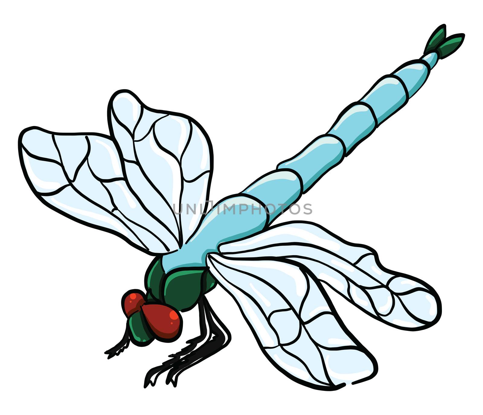 Blue dragonfly , illustration, vector on white background by Morphart