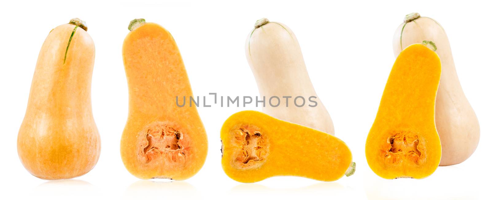 Set of Fresh butternut squash isolated on a white. by Gamjai