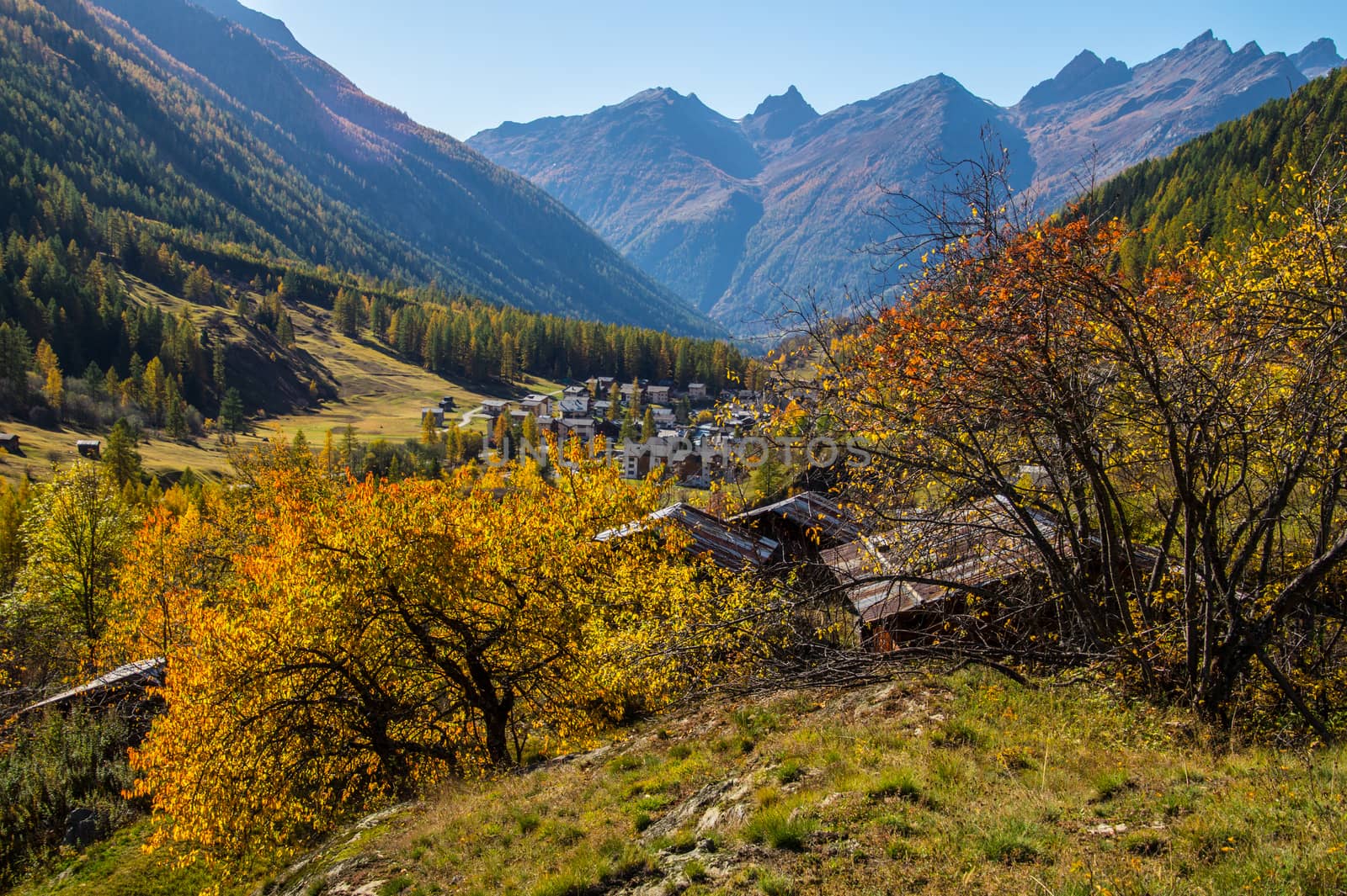 landscape of the Swiss Alps in autumn by bertrand