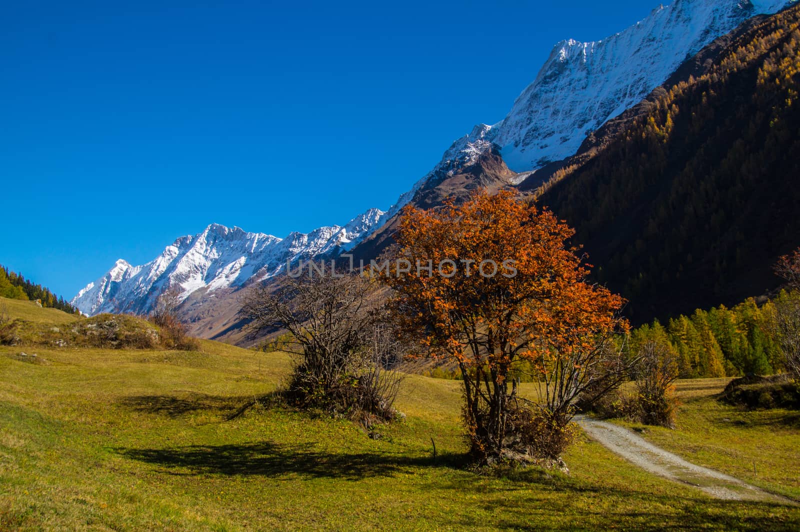 landscape of the Swiss Alps in autumn by bertrand