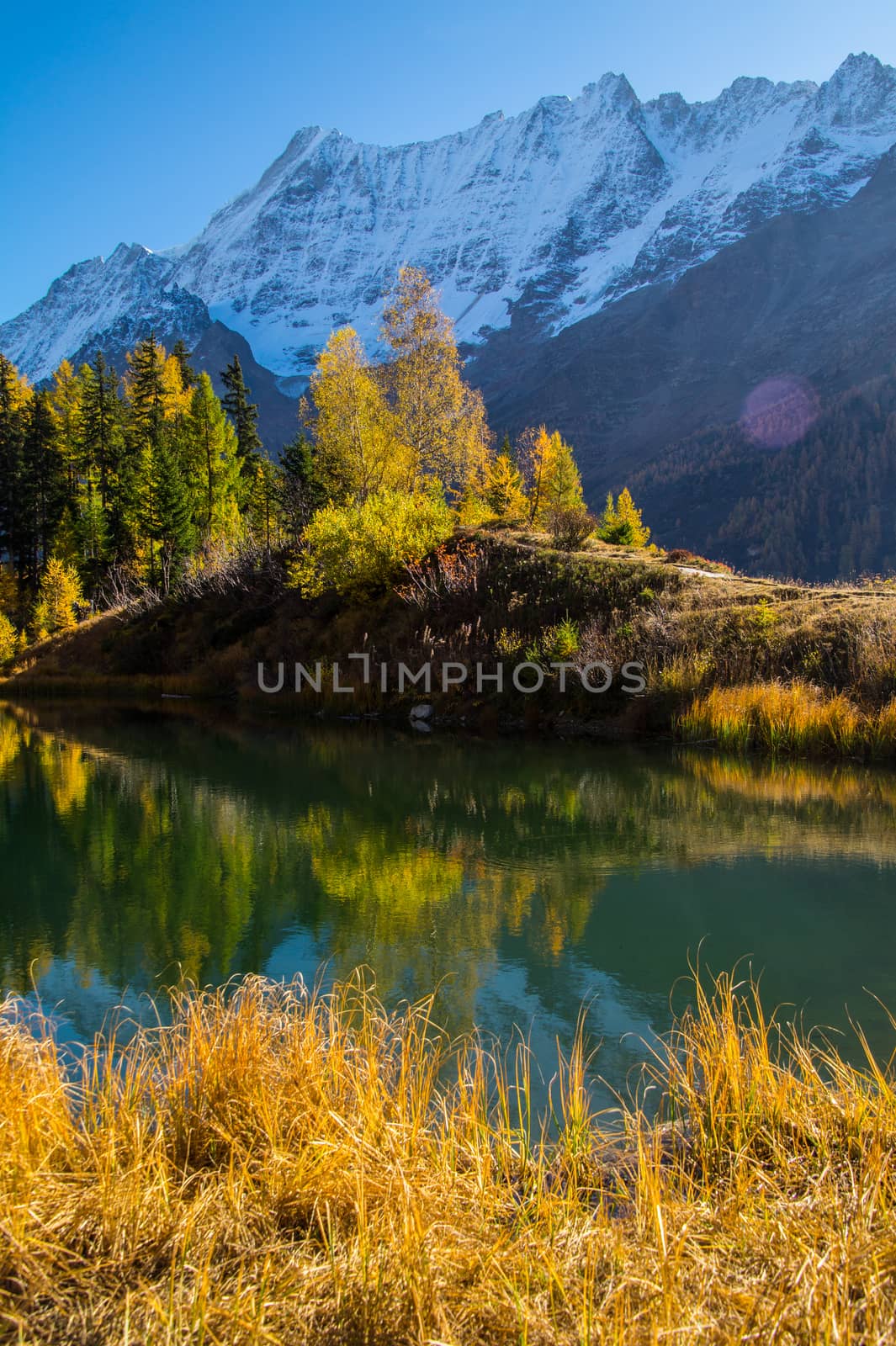 landscape of the Swiss Alps in autumn by bertrand