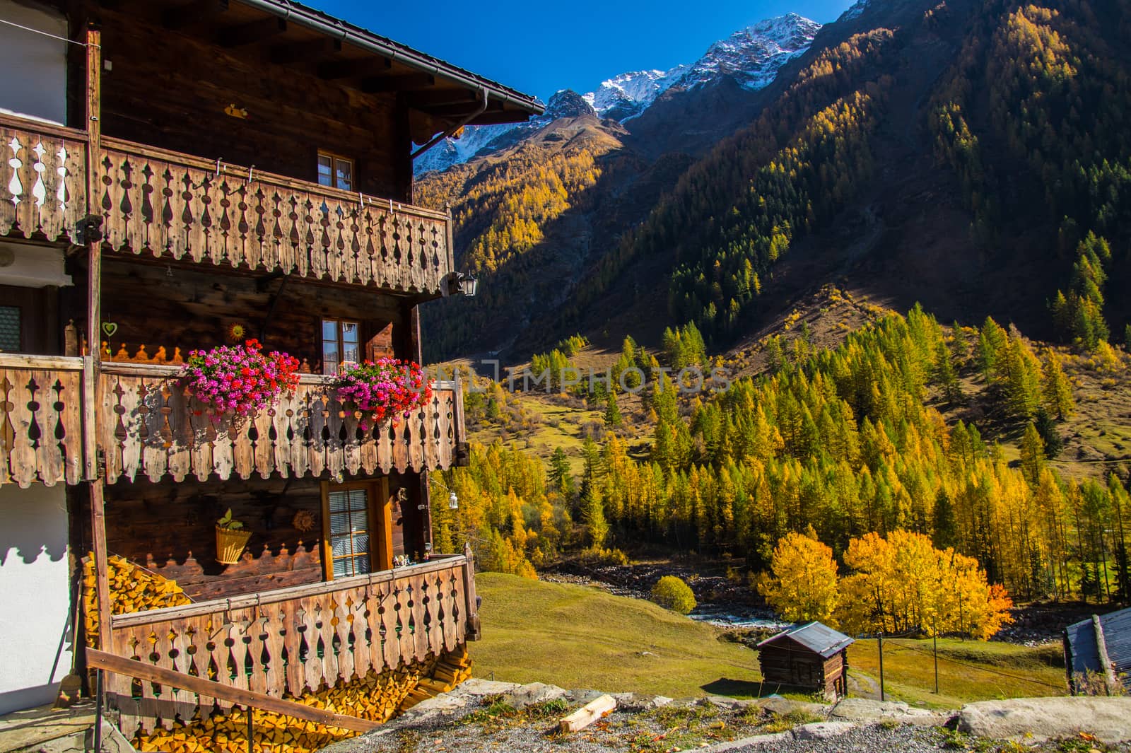 landscape of the Swiss Alps in autumn by bertrand