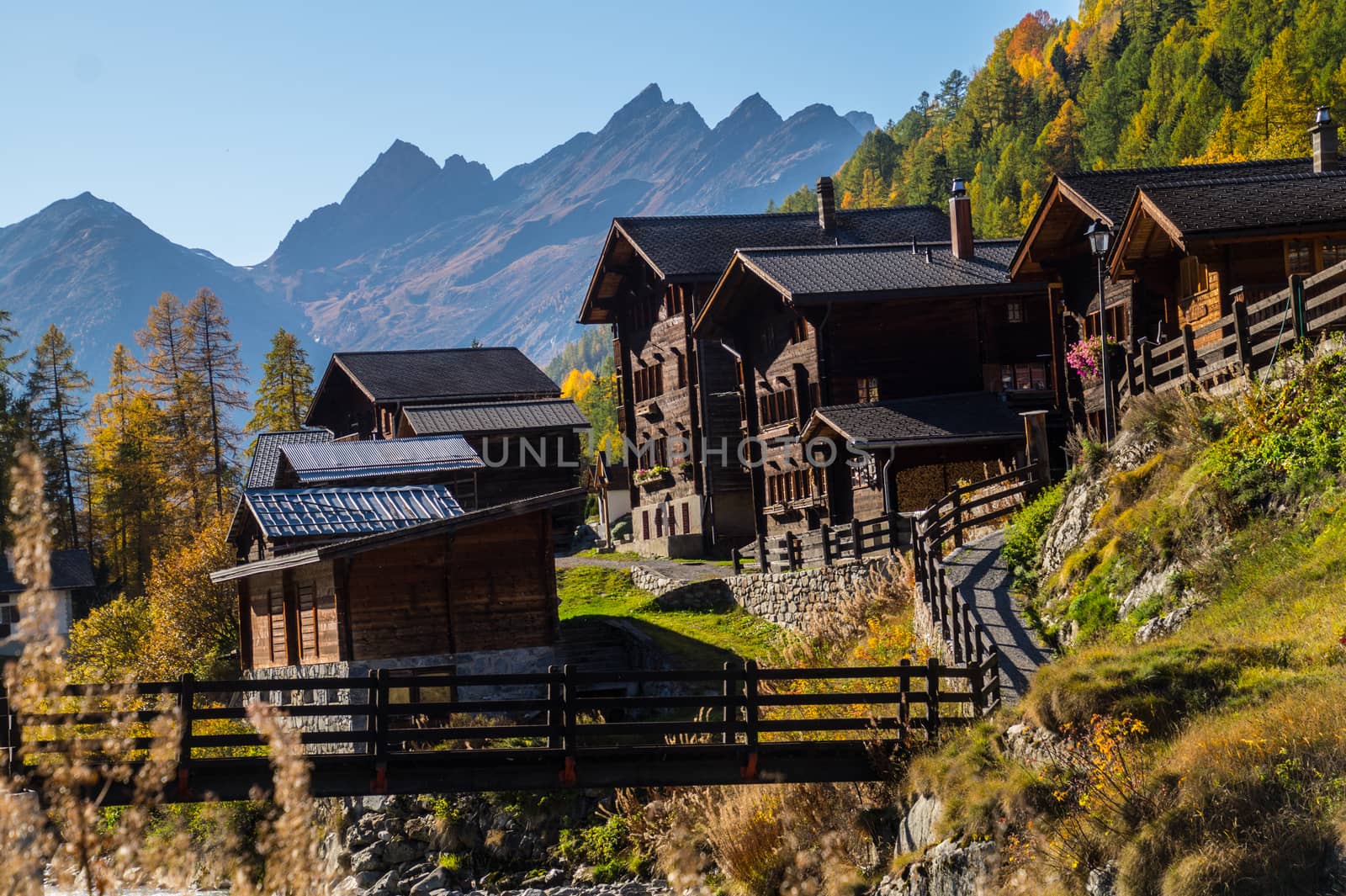 landscape of the Swiss Alps in autumn by bertrand