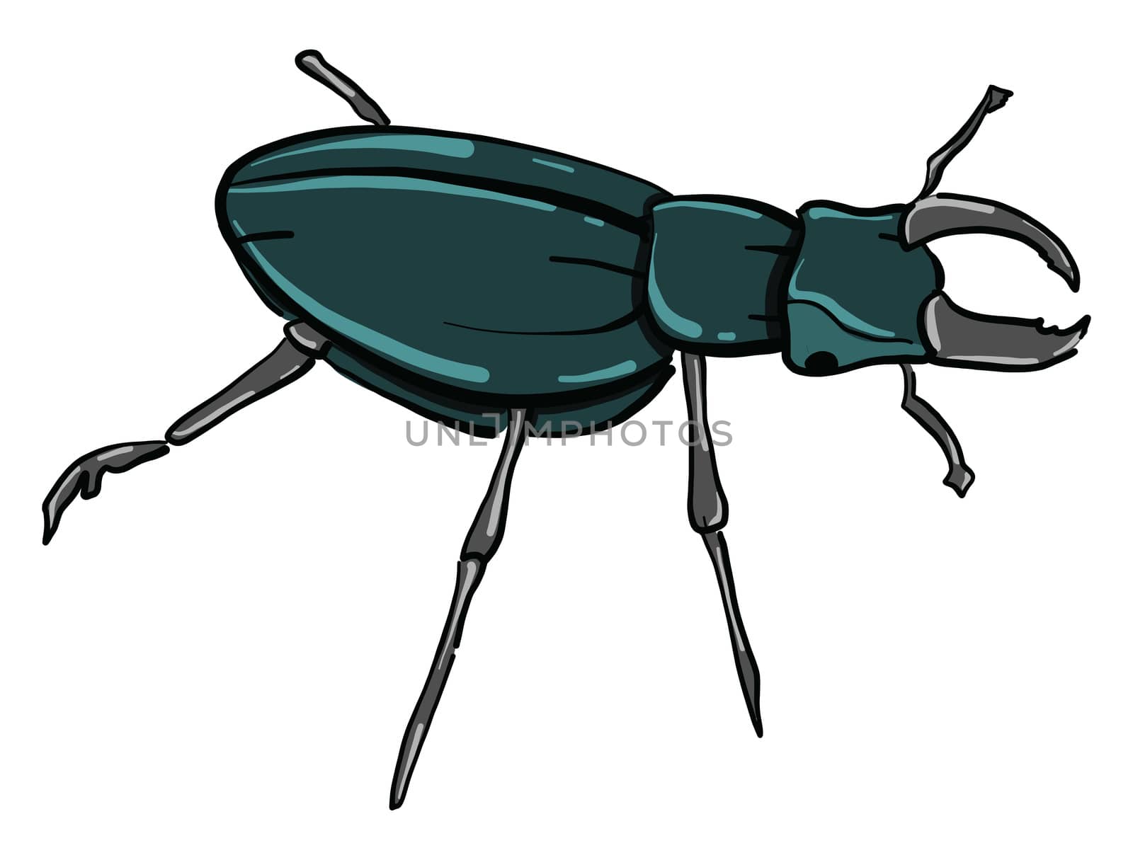 Rhinoceros beetle , illustration, vector on white background by Morphart