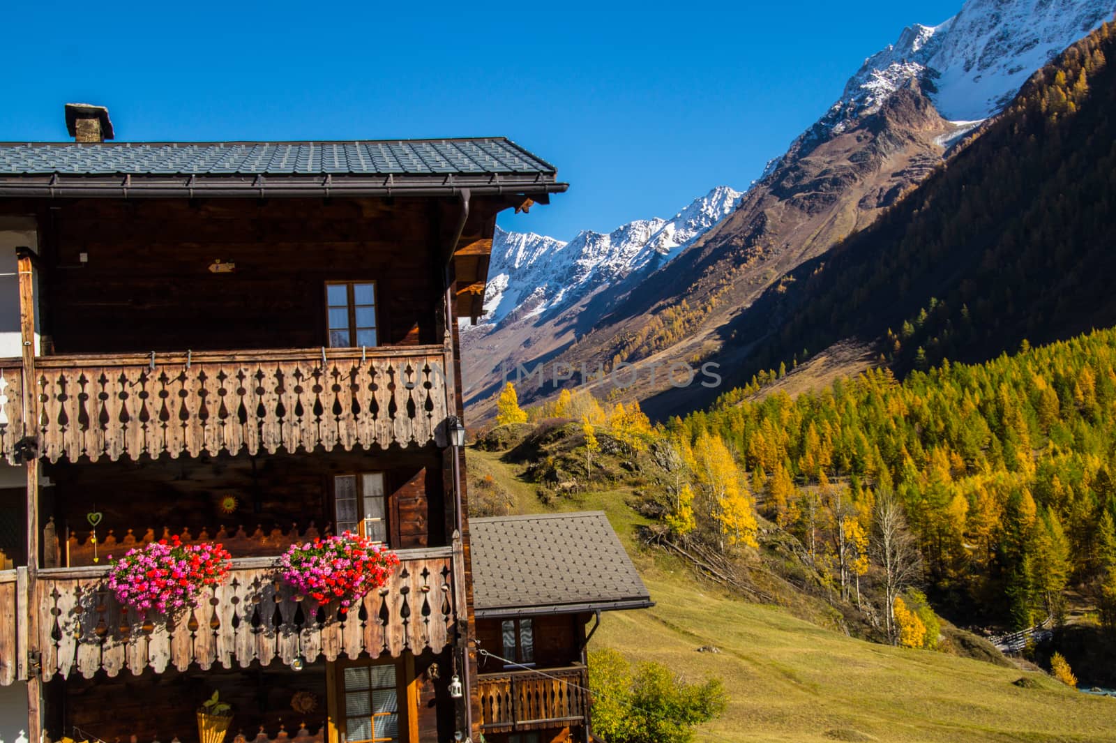 landscape of the Swiss Alps in autumn by bertrand