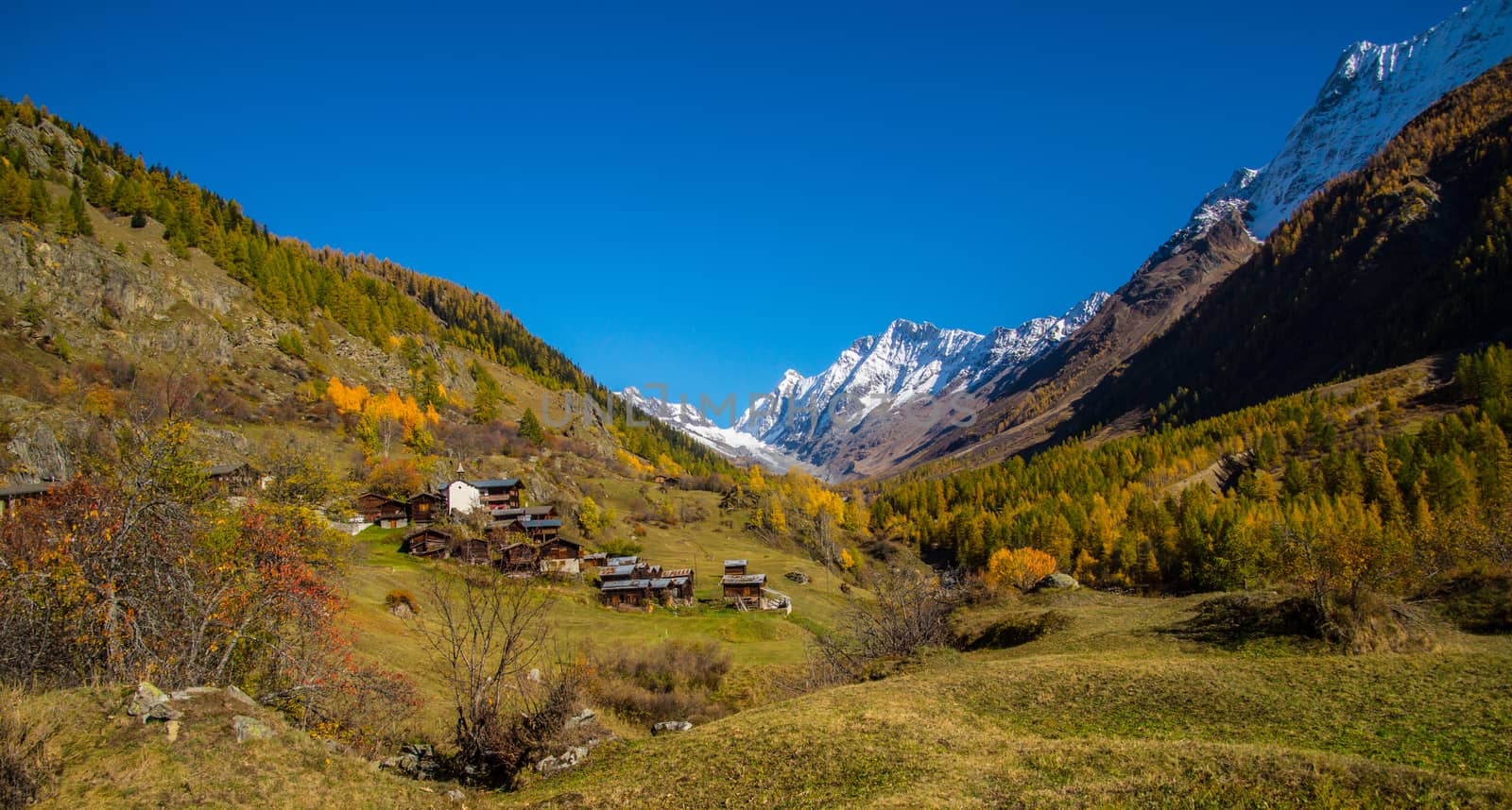 landscape of the Swiss Alps in autumn by bertrand