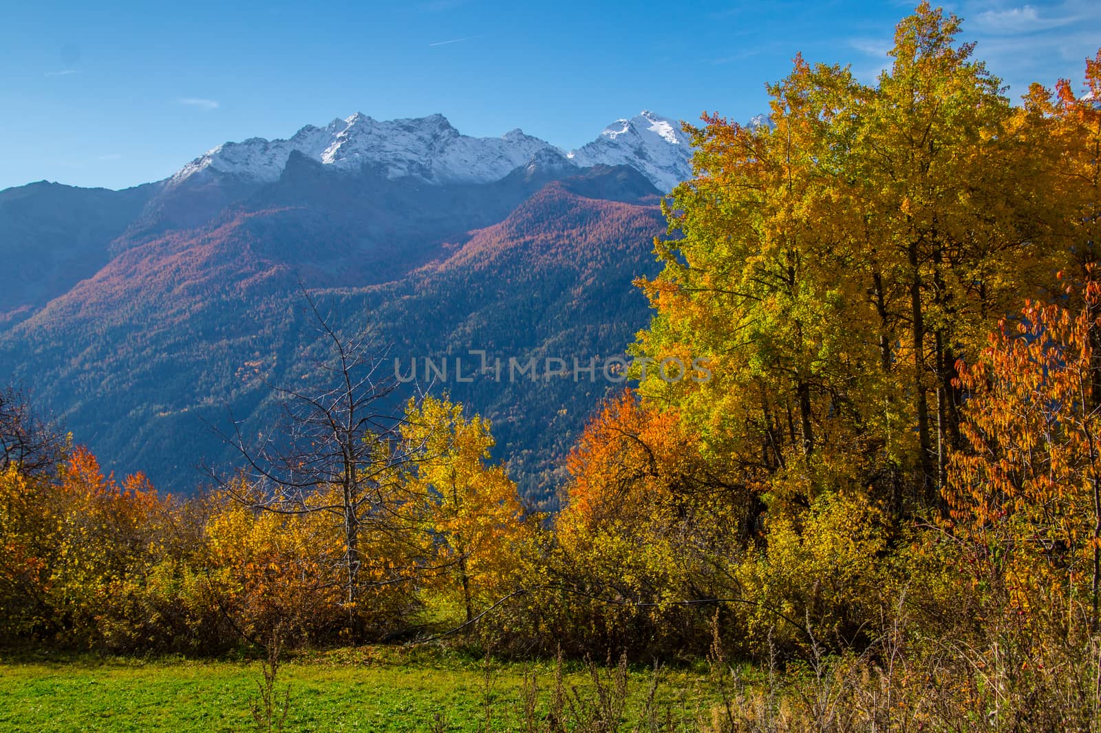 landscape of Italian Alps in autumn by bertrand